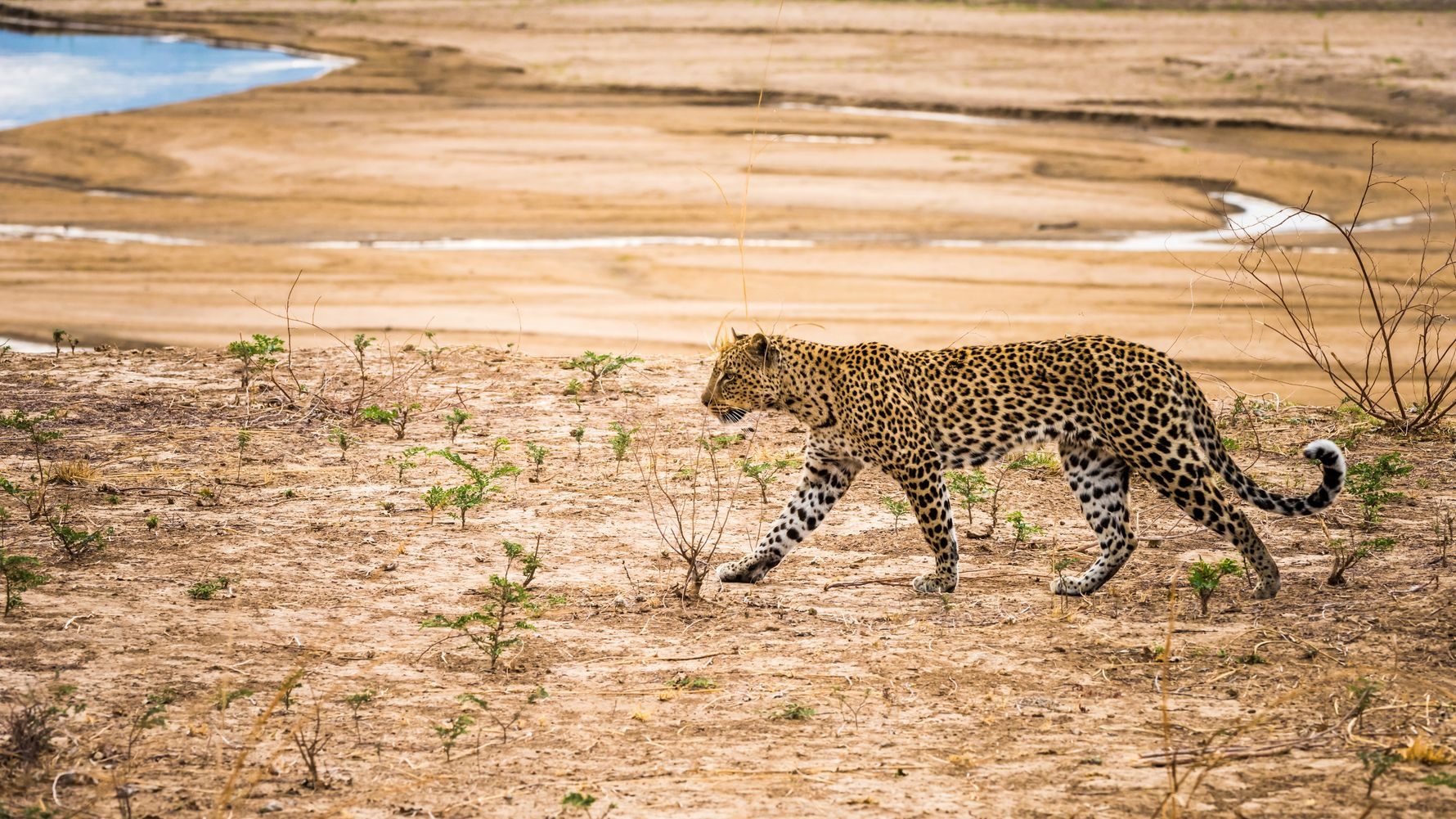 Kafue National Park