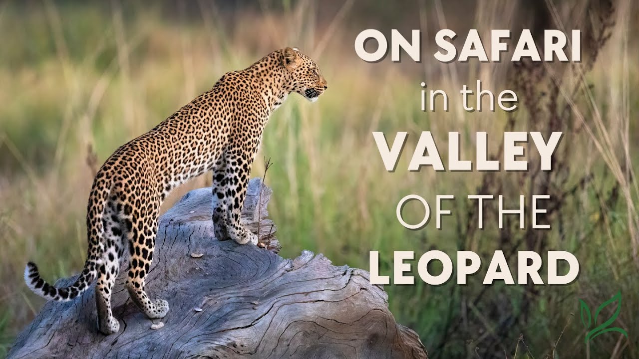 Liuwa Plain National Park