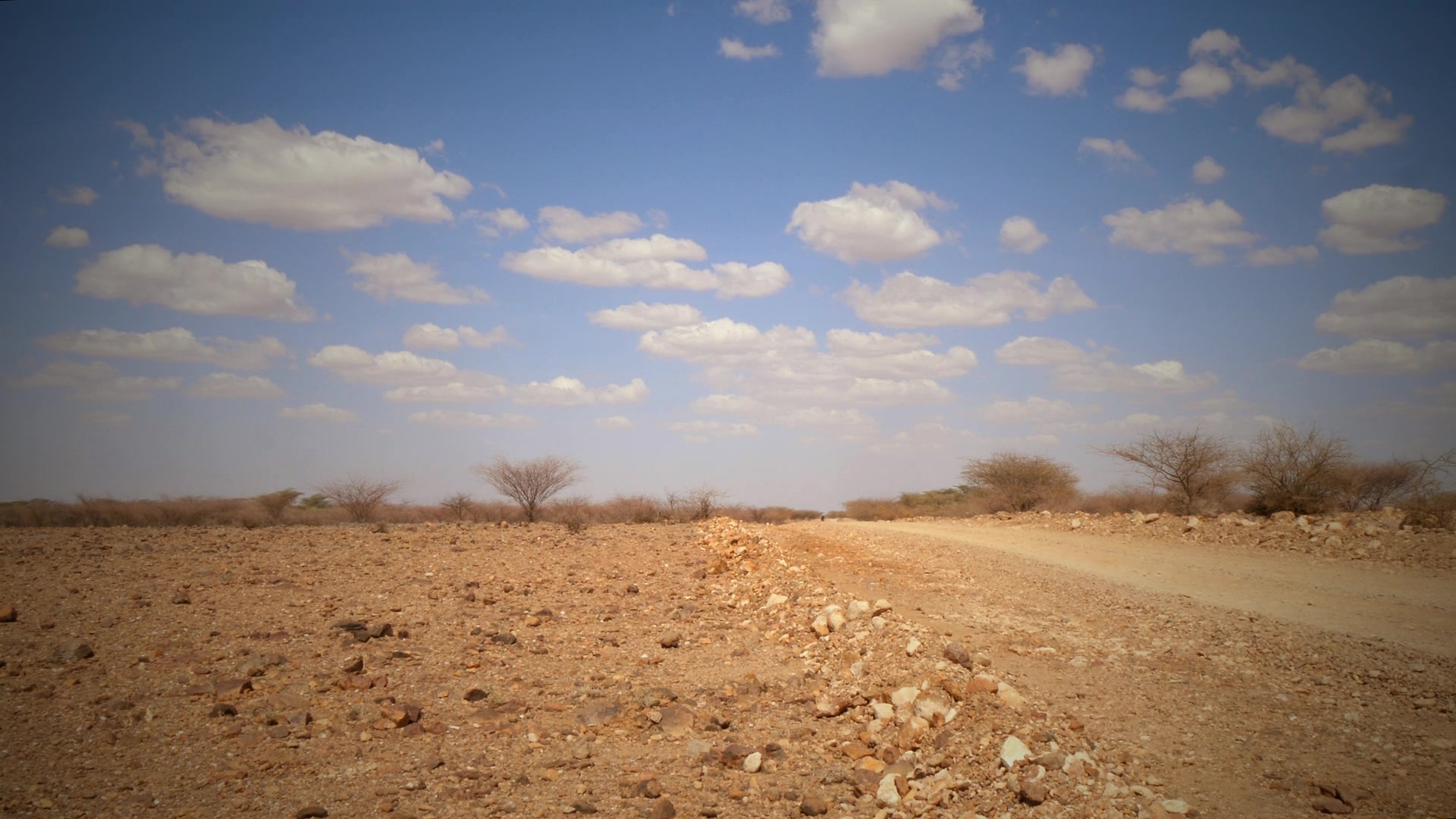 Game drive in Etosha National Park