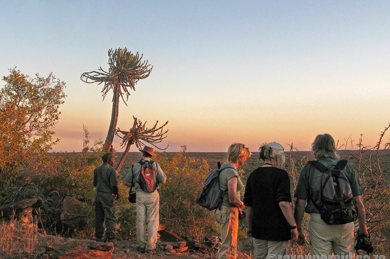 Guided wilderness trail in the Kruger, South Africa