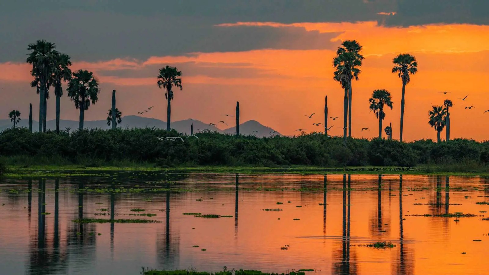 Rufiji River sunset boat safari Nyerere