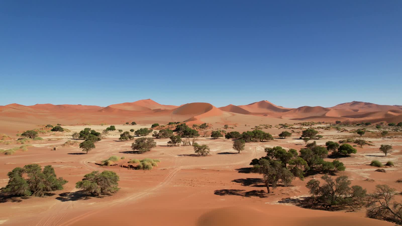 Aerial view of the red dunes of the Namib Sand Sea