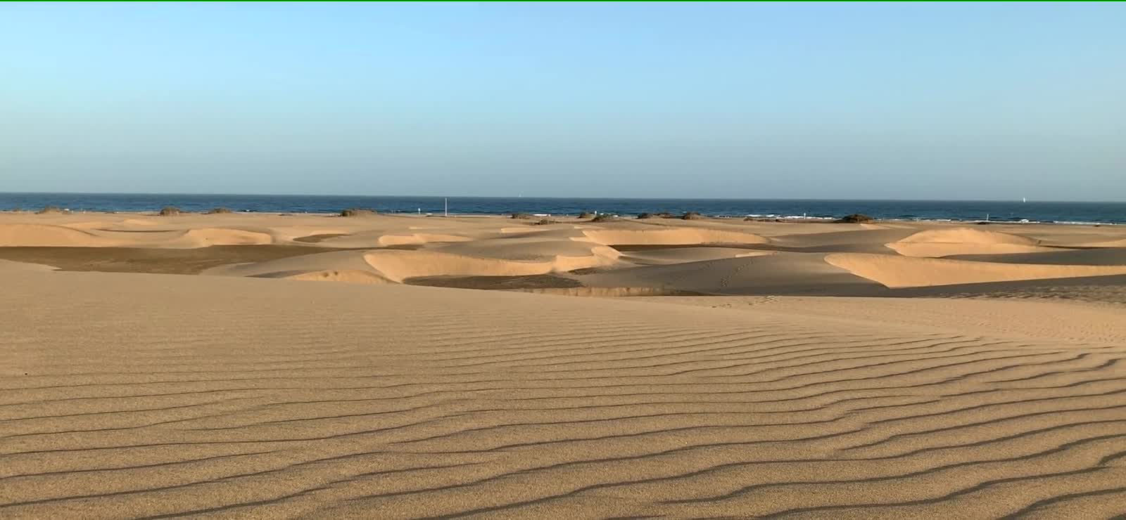 Rippled sand texture on a Namib dune