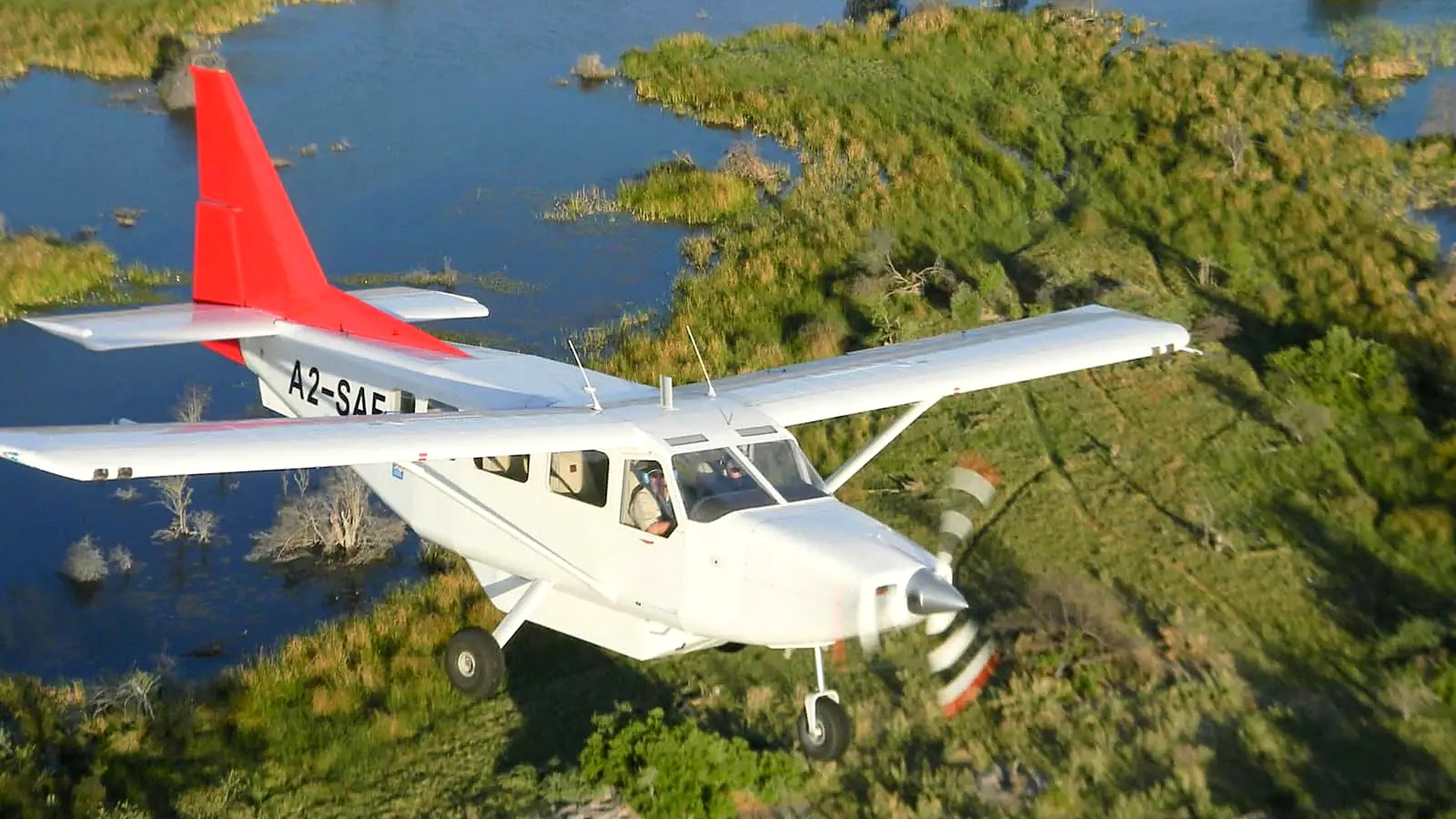 A light aircraft on a delta airstrip at dawn with elephants beyond in the Okavango