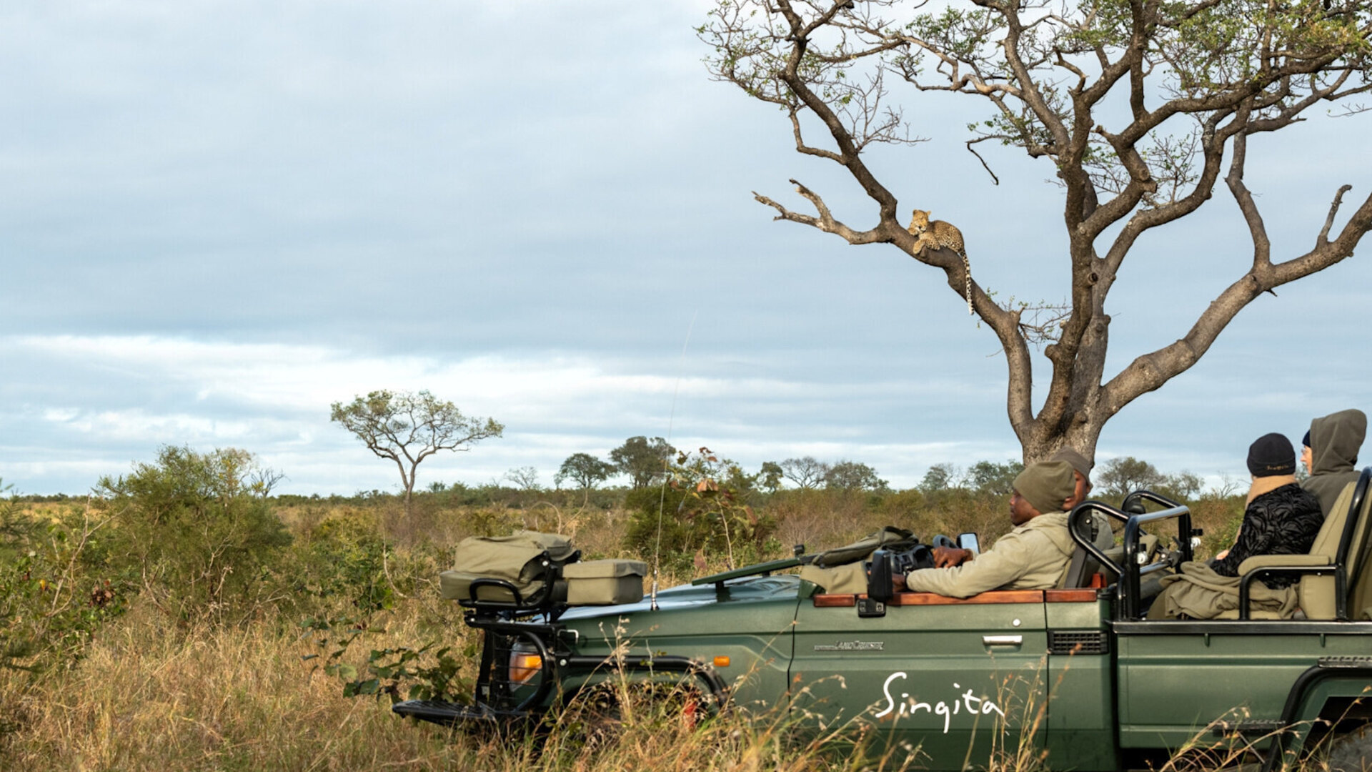 Guests on an open safari vehicle watching a leopard on an all-inclusive African safari tour