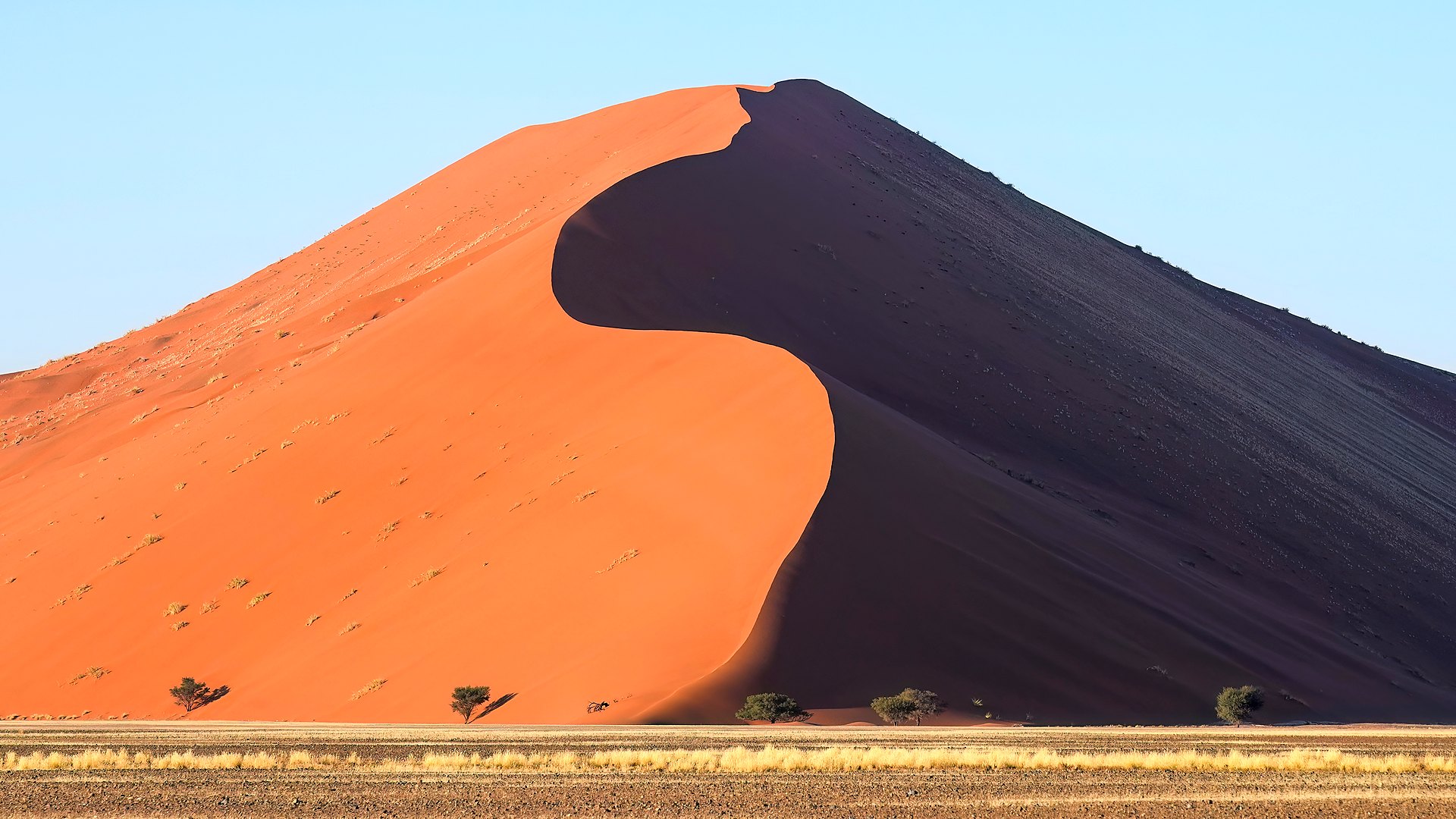 Golden sunrise light on the towering dunes of Sossusvlei on an all-inclusive Namibia safari
