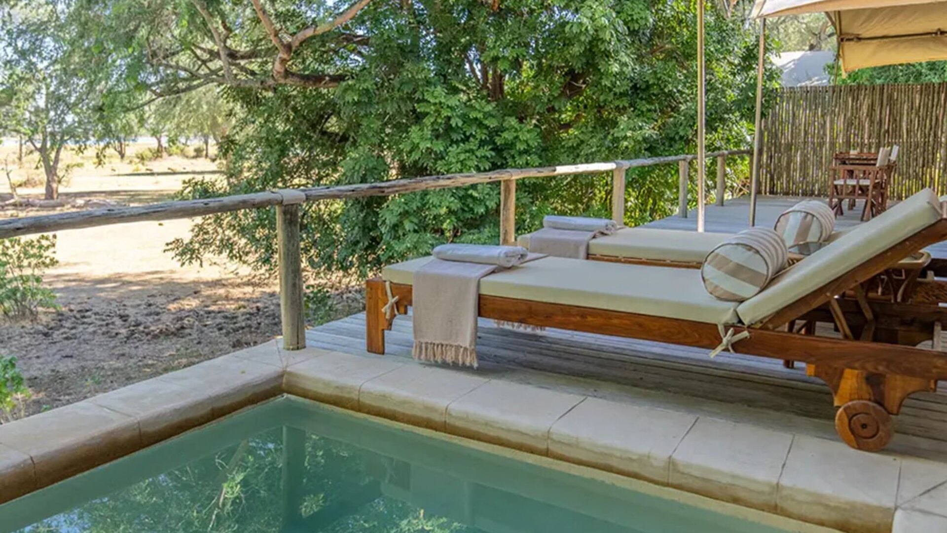 A private safari suite with a plunge pool overlooking the African bush at golden hour