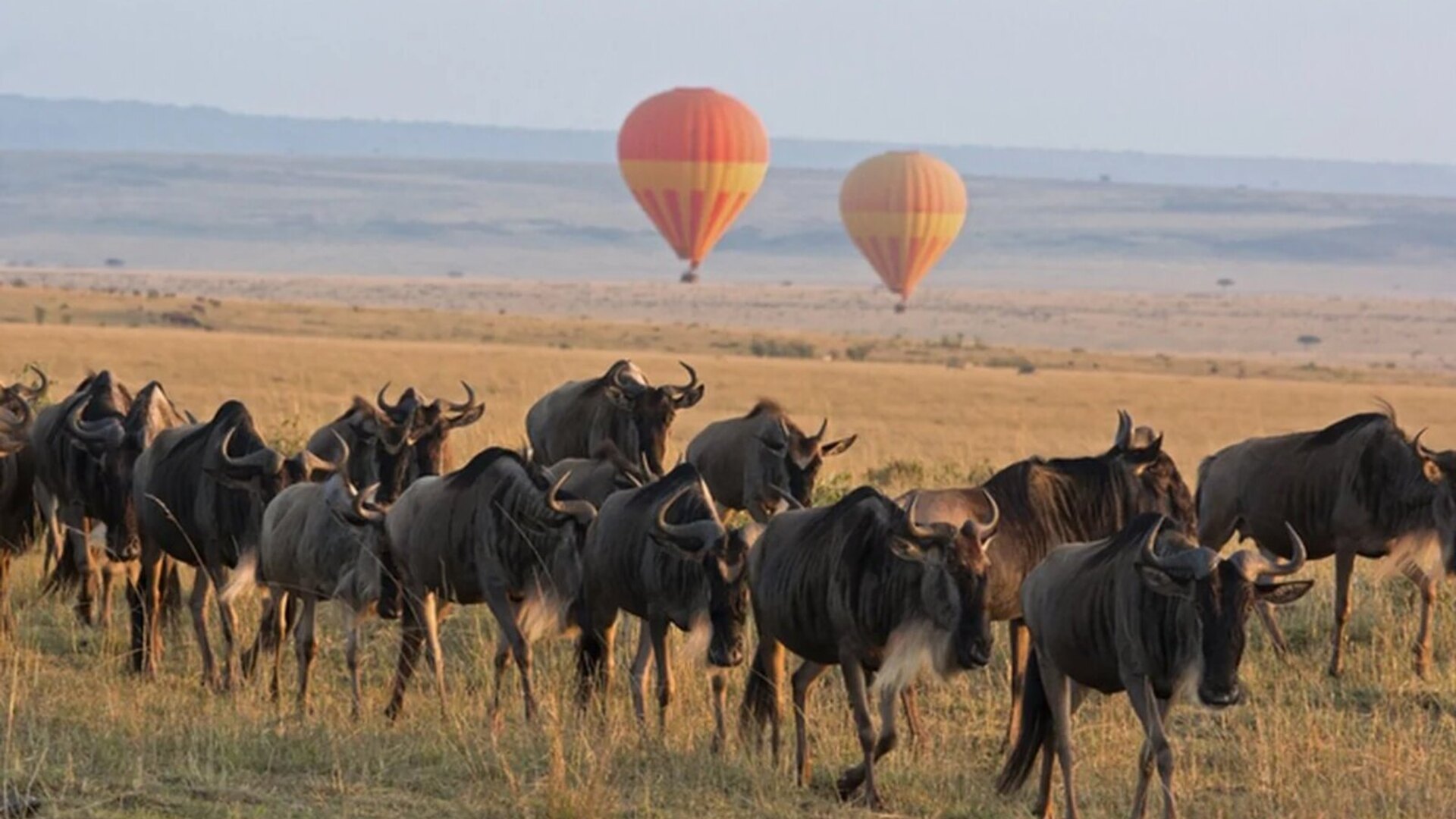 Hot air balloon safari over the Serengeti on an all-inclusive Tanzania safari package