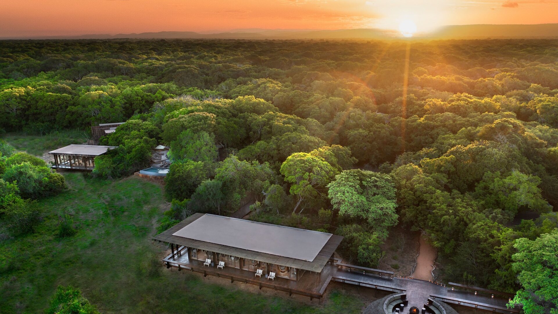 A glass-walled suite in the sand forest at &Beyond Phinda Forest Lodge, KwaZulu-Natal — all six Phinda lodges reviewed and compared