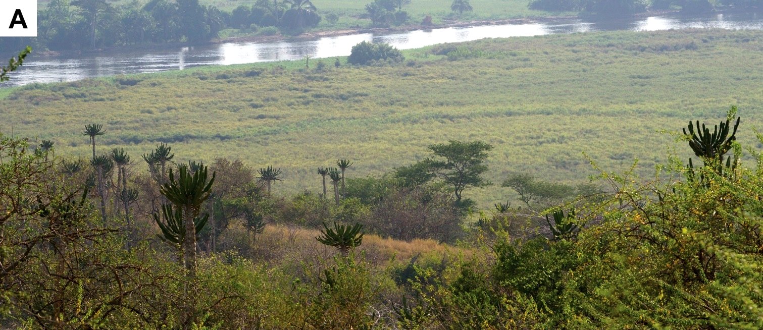 Angola Safari Cost 2026 | Honest Budget Guide & What to Expect