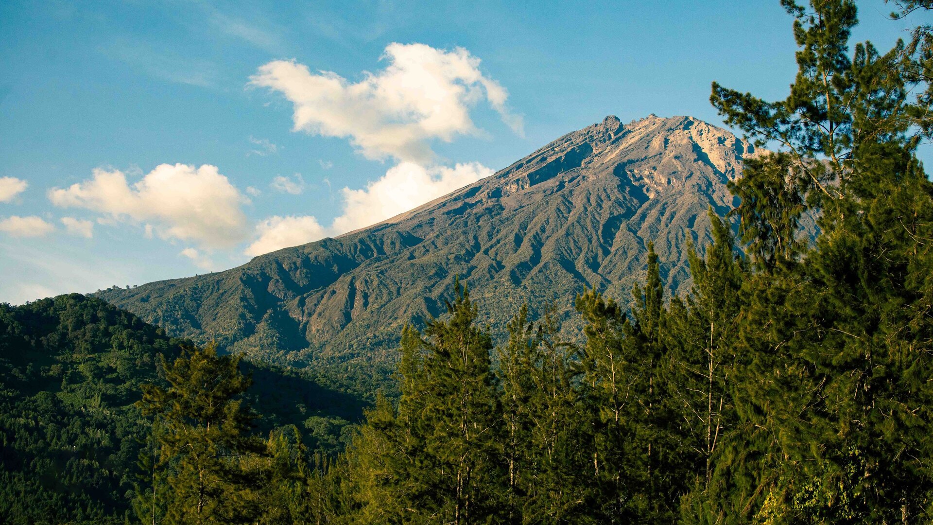 Mount Meru rising behind the town of Arusha, Tanzania, the gateway to the northern safari circuit