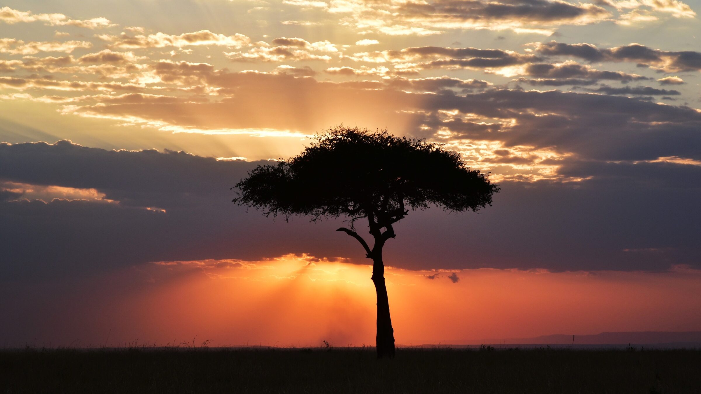 Basecamp Masai Mara river-view tent on raised wooden deck beside the Talek River at golden hour