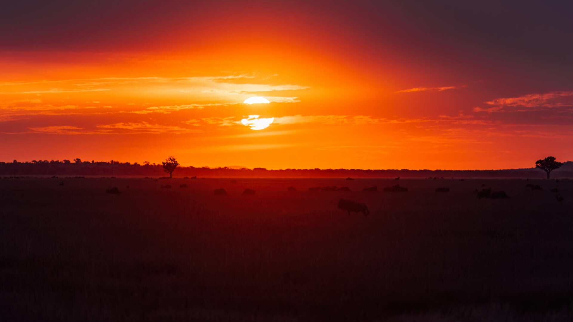 African savanna glowing under a fire-lit sunset with acacia silhouettes — Top 10 Best bespoke African safaris 2026 and 2027