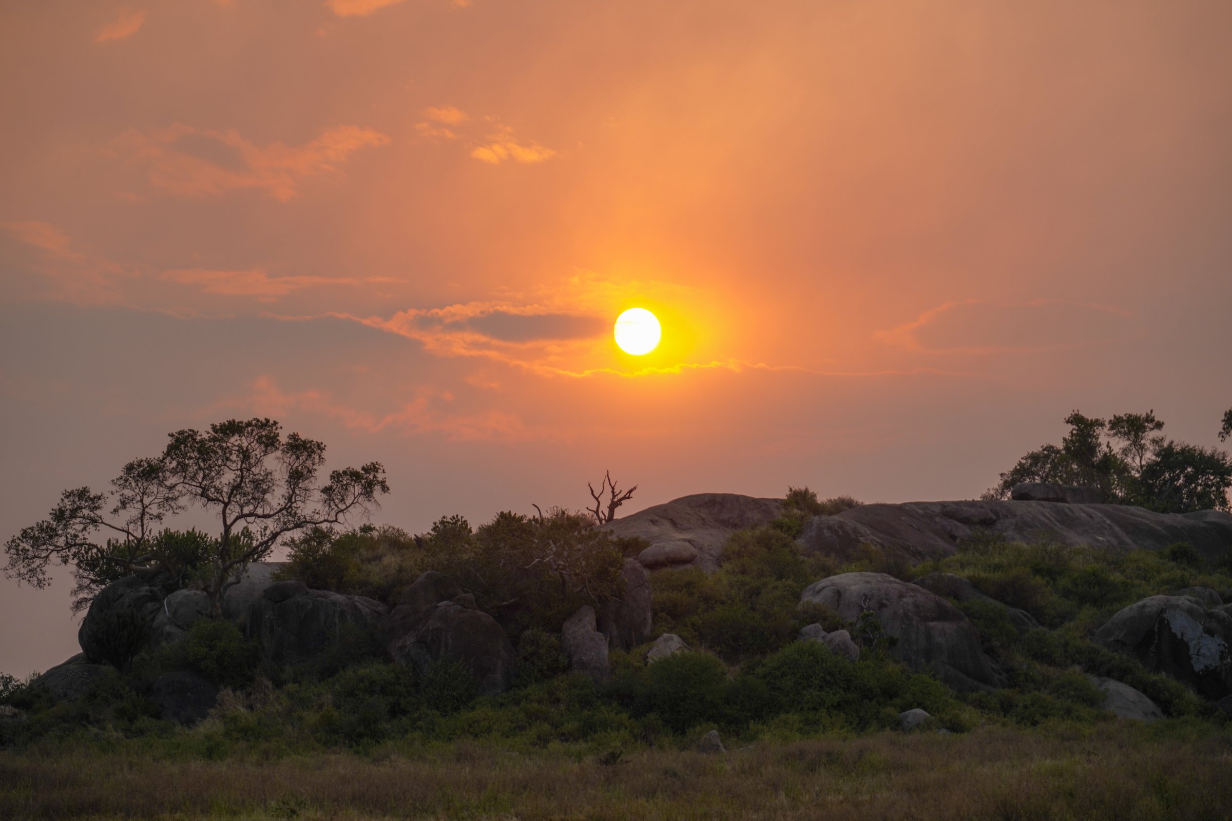 Golden-hour sunset over the endless plains of the Serengeti, Tanzania — the essence of the best African safari tours for 2027