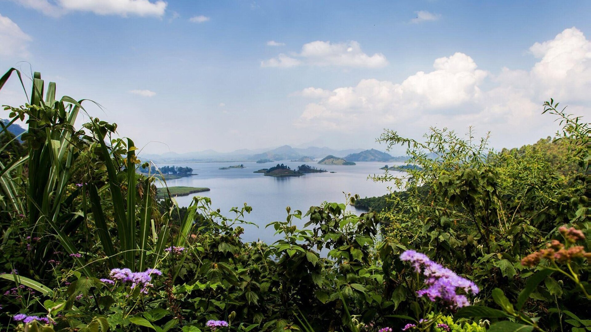 Luxury gorilla lodge view over Lake Mutanda and the Virunga volcanoes, Bwindi region, Uganda at golden hour