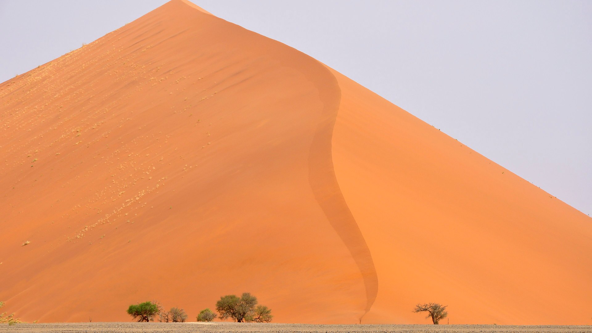 Towering red dunes and golden plains of the NamibRand Nature Reserve in southern Namibia