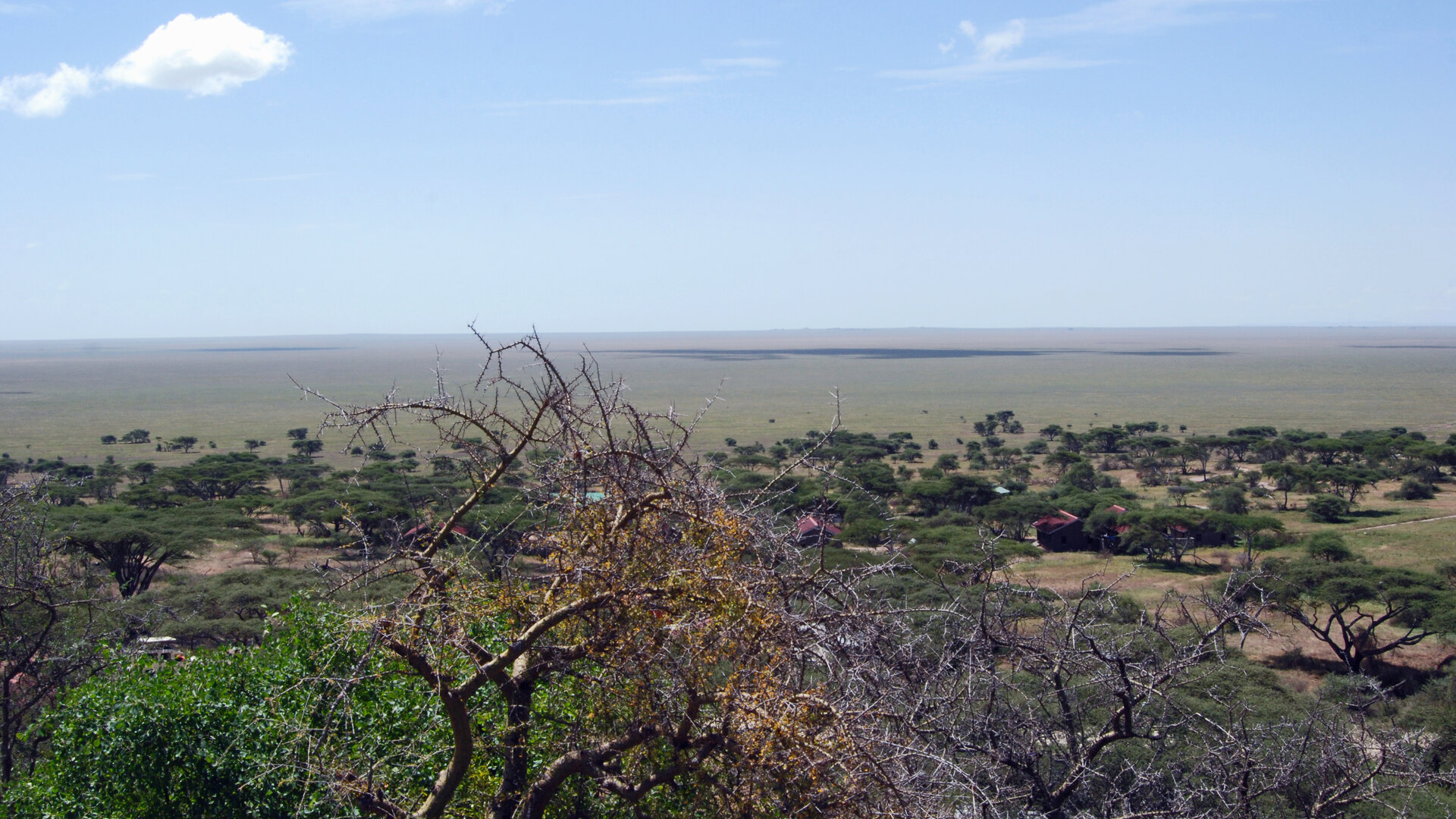 Golden Serengeti plains at sunset beneath a vast sky, classic tented-camp country
