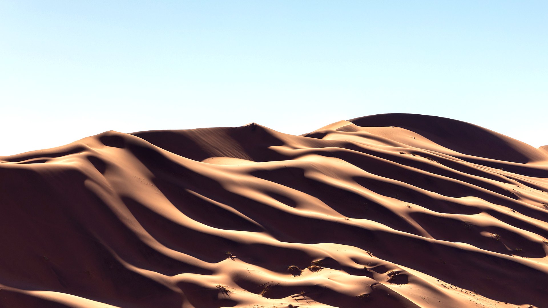 Sweeping Sossusvlei dune field at golden hour on one of the best Namibia safari tours