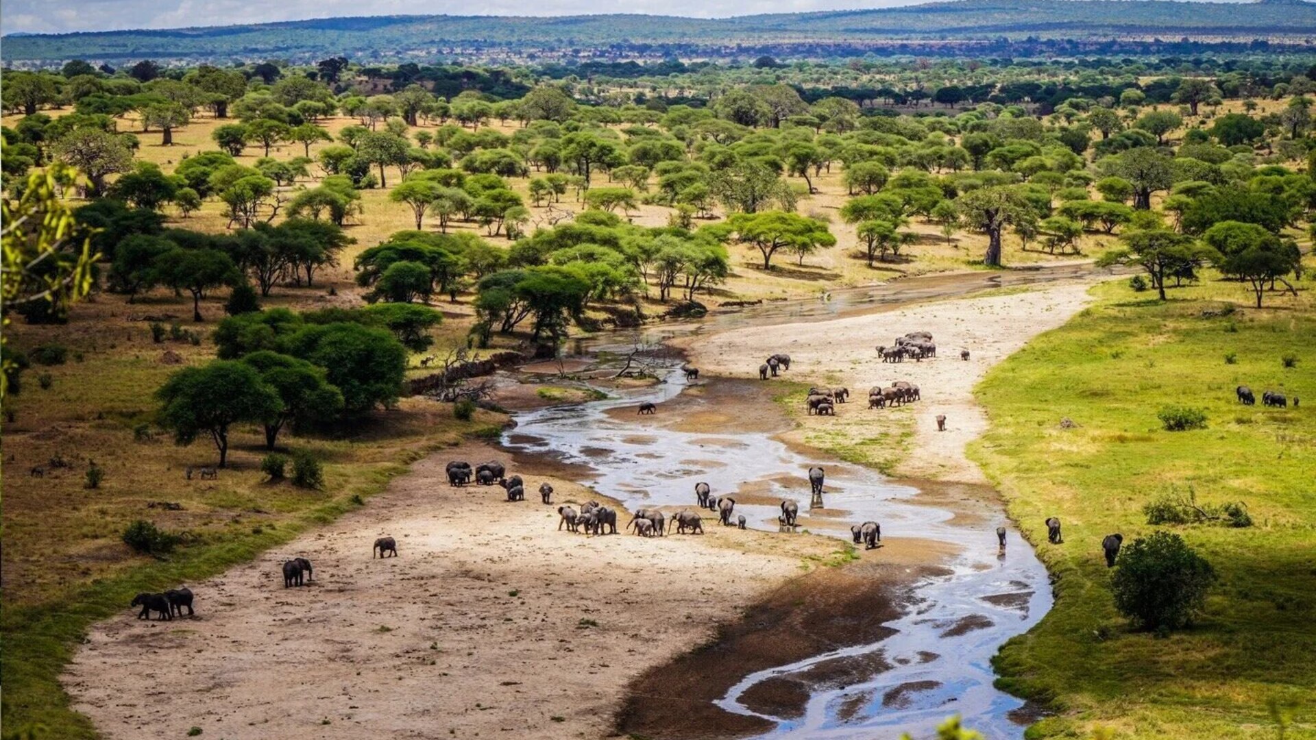 Safari lodge overlooking a river and waterhole in Tanzania with elephants drinking below