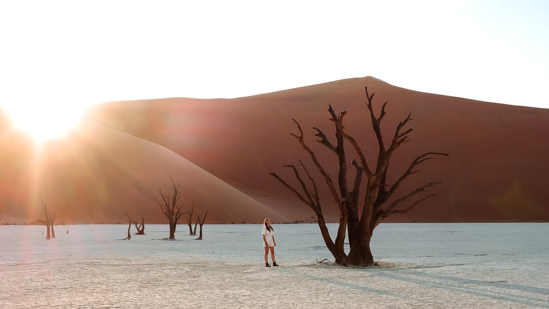 Photographer capturing Deadvlei's camelthorn trees at golden hour with perfect morning light