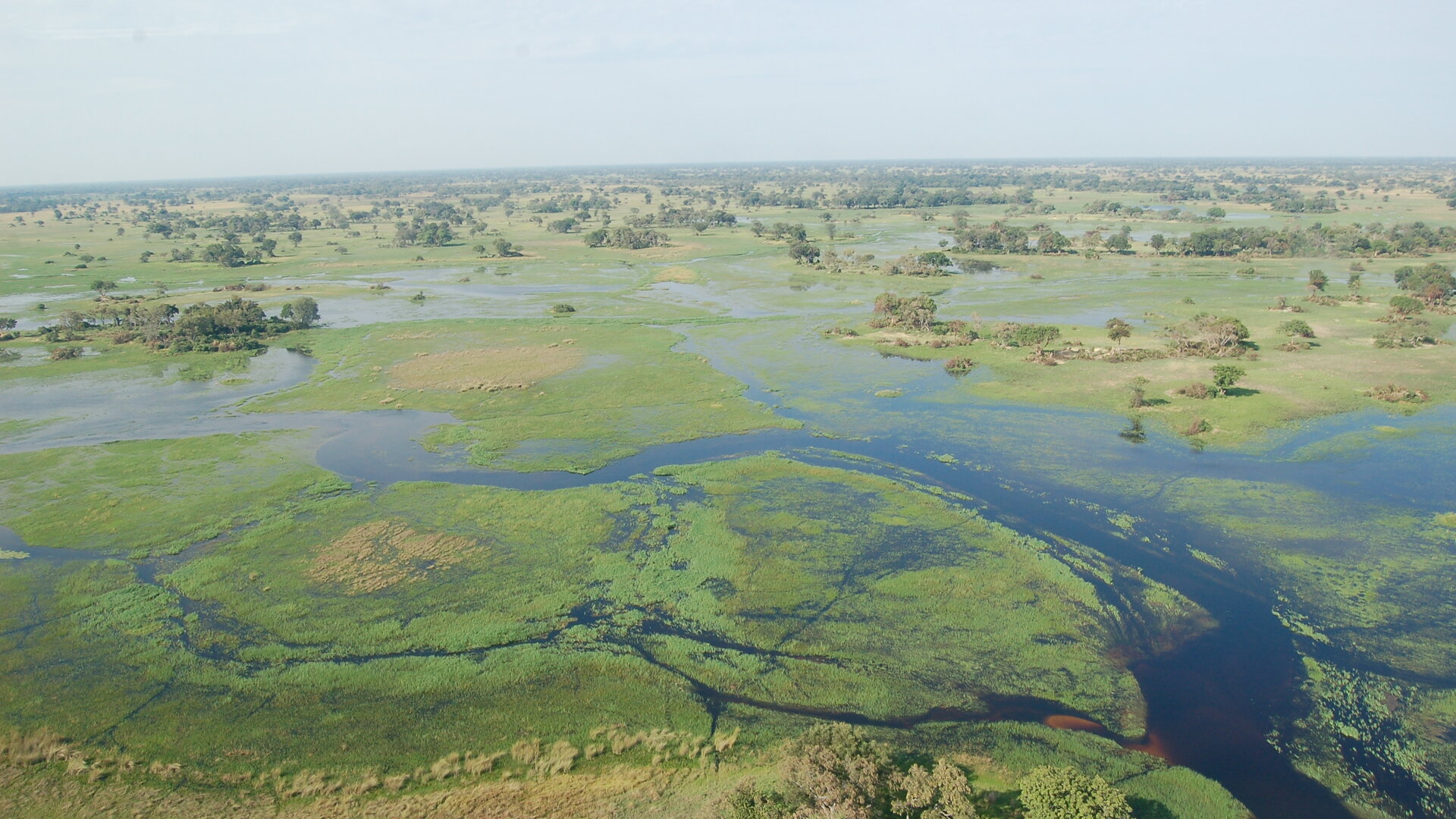 Aerial view of the Okavango Delta, Botswana — channels, islands and wildlife in Africa's greatest inland wilderness — Top 10 Best Botswana safari packages 2026 and 2027