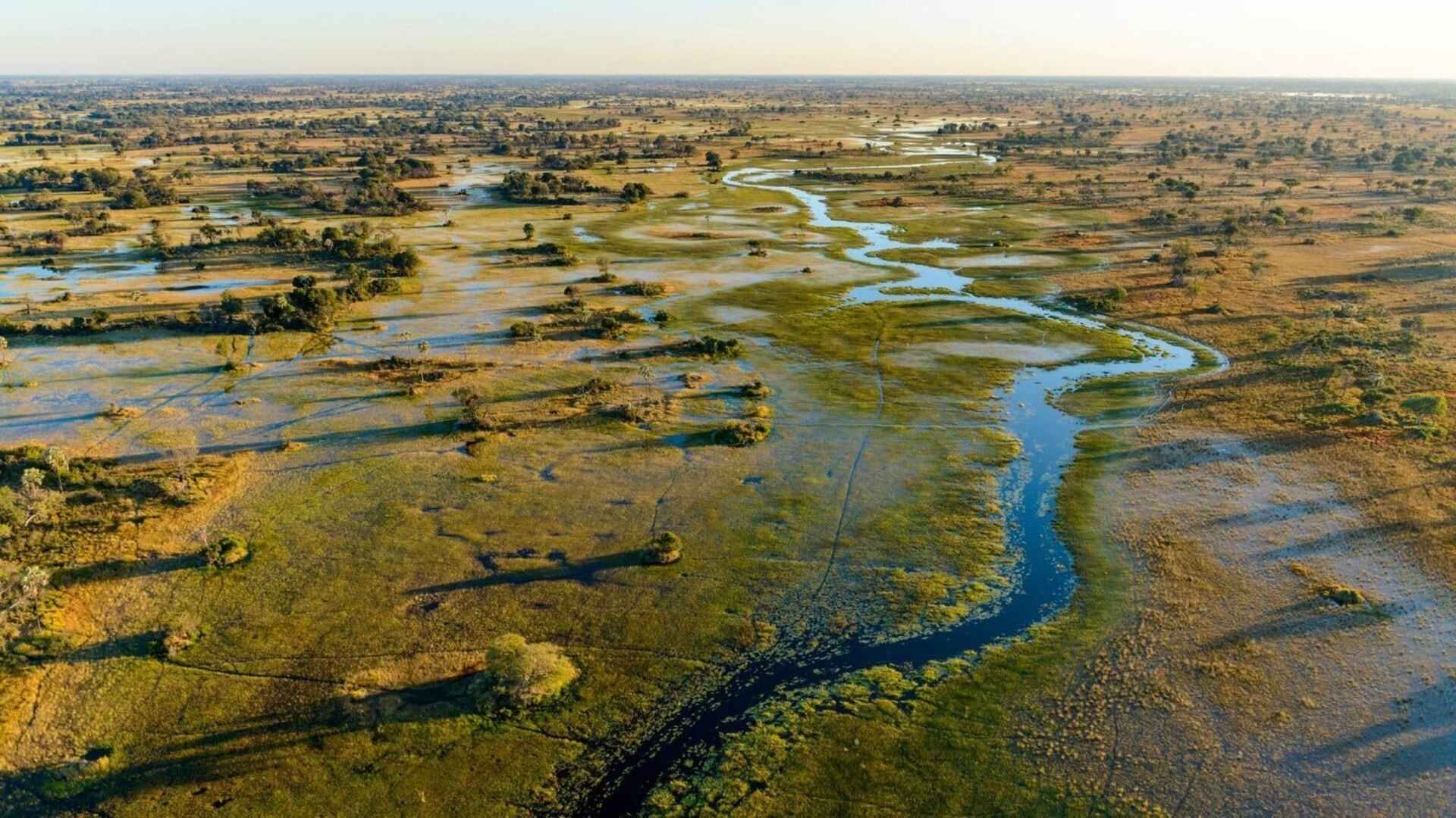 Okavango Delta channels at sunrise with palm islands and clear water