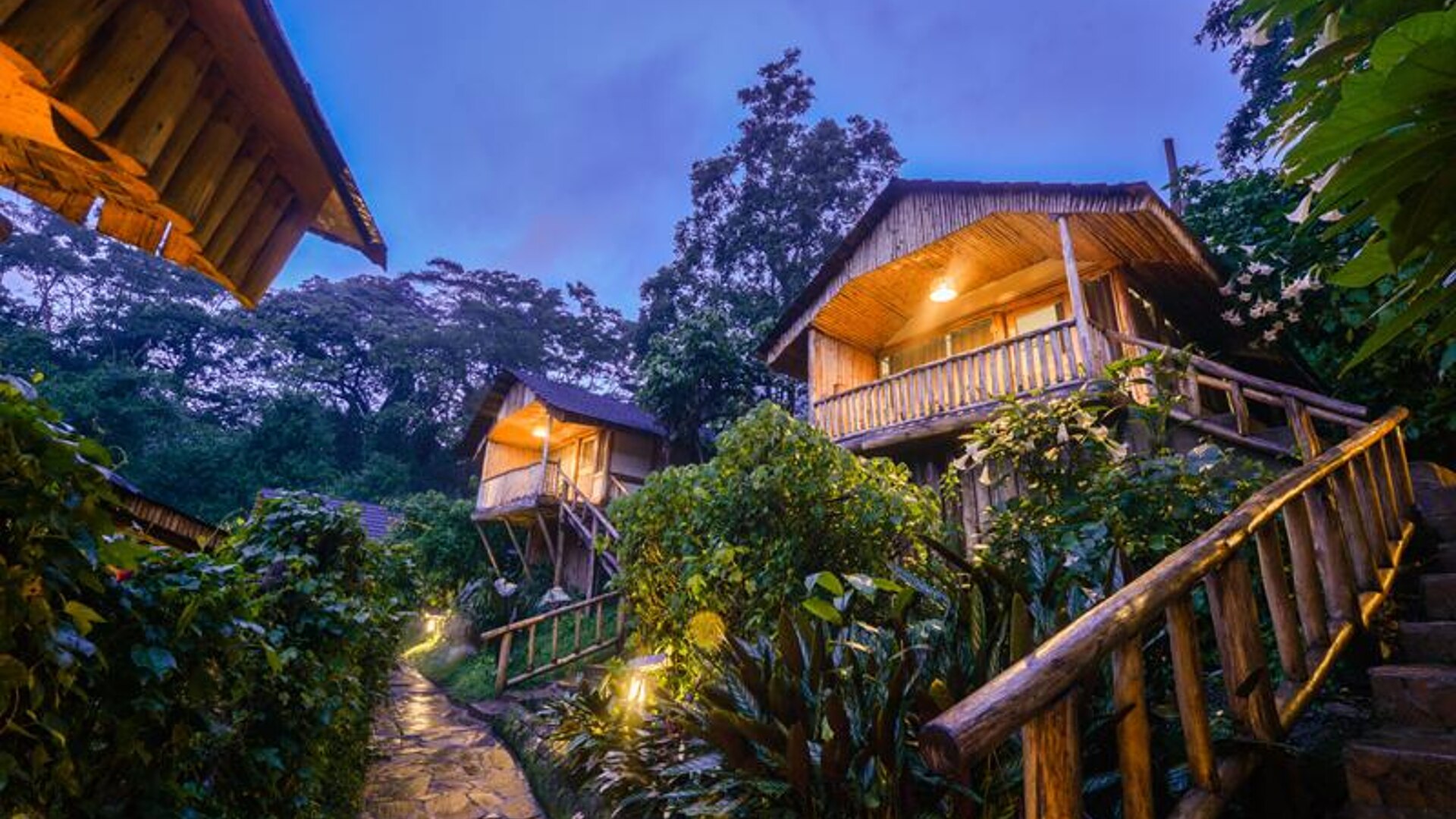Buhoma Lodge bandas among the trees at the Buhoma gate of Bwindi Impenetrable Forest