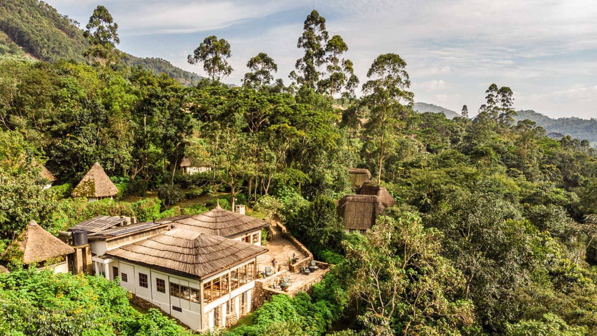 Bwindi Lodge forest bandas on the edge of Bwindi Impenetrable Forest, Uganda