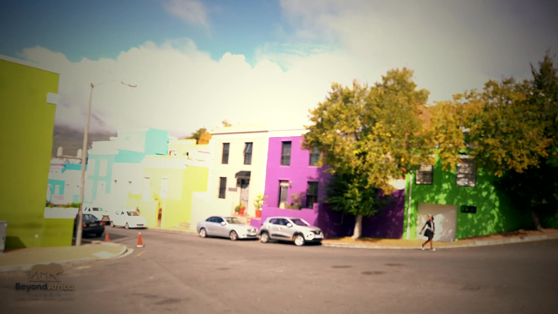 Full-Day Cape Peninsula Sightseeing Tour (Small Group) β Cape Peninsula