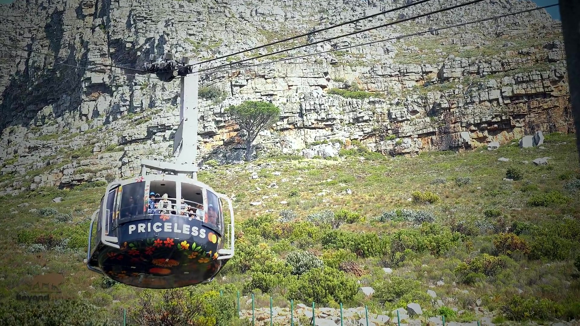 Table Mountain & Cape of Good Hope Shared Group Tour β Cape Peninsula