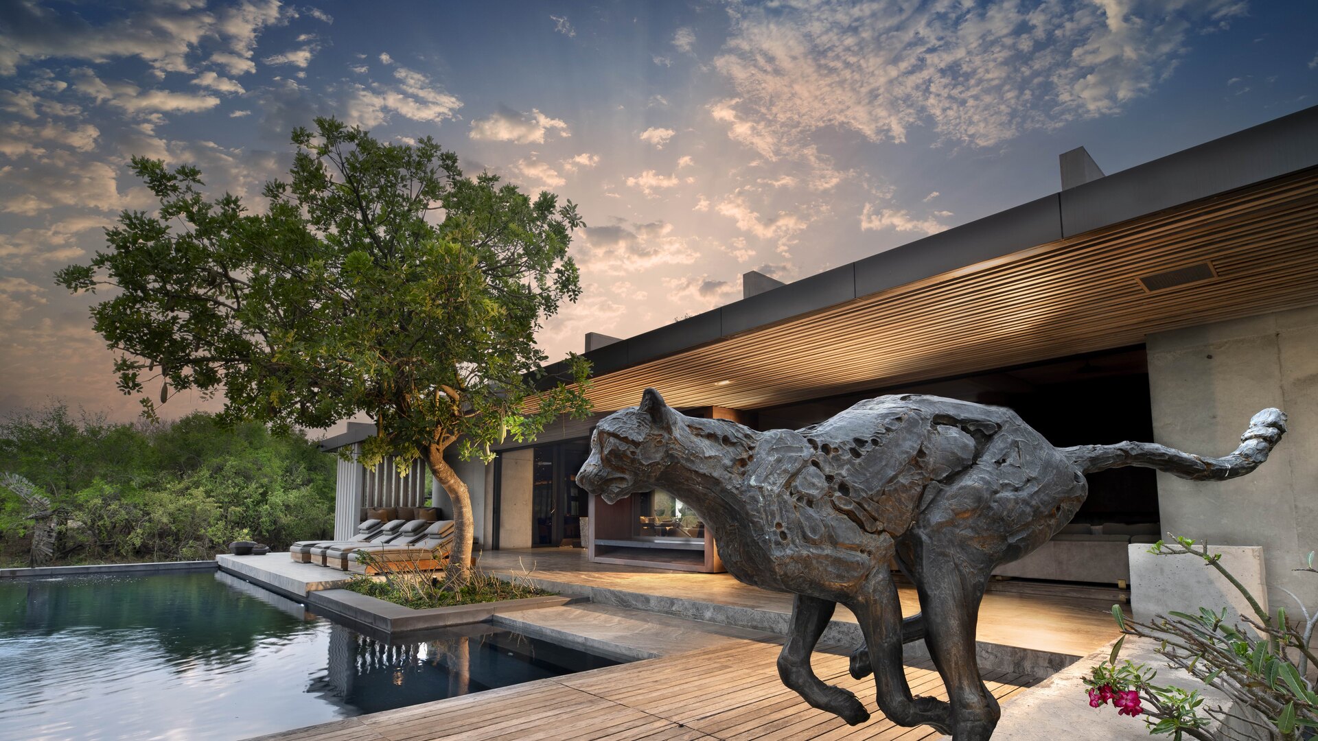 A bronze cheetah sculpture in full stride beside the infinity pool and contemporary architecture of Cheetah Plains in the Sabi Sand