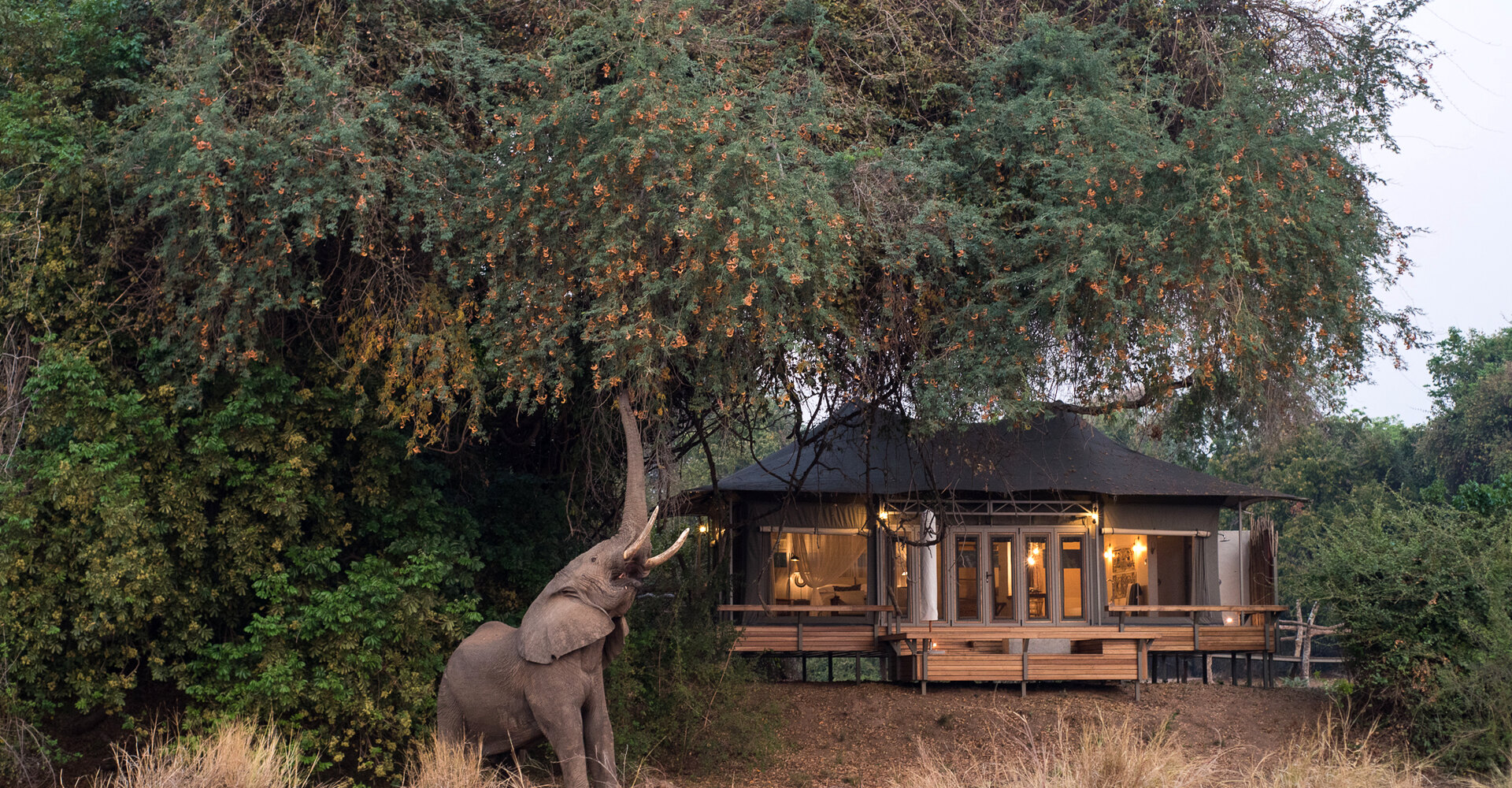 Riverside suites at Chikwenya Camp overlooking the Zambezi and Rift Valley escarpment