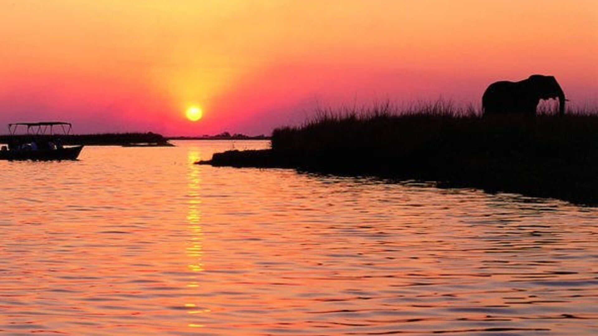 Large elephant herd gathered on the Chobe riverfront at sunset — Chobe safari packages 2026