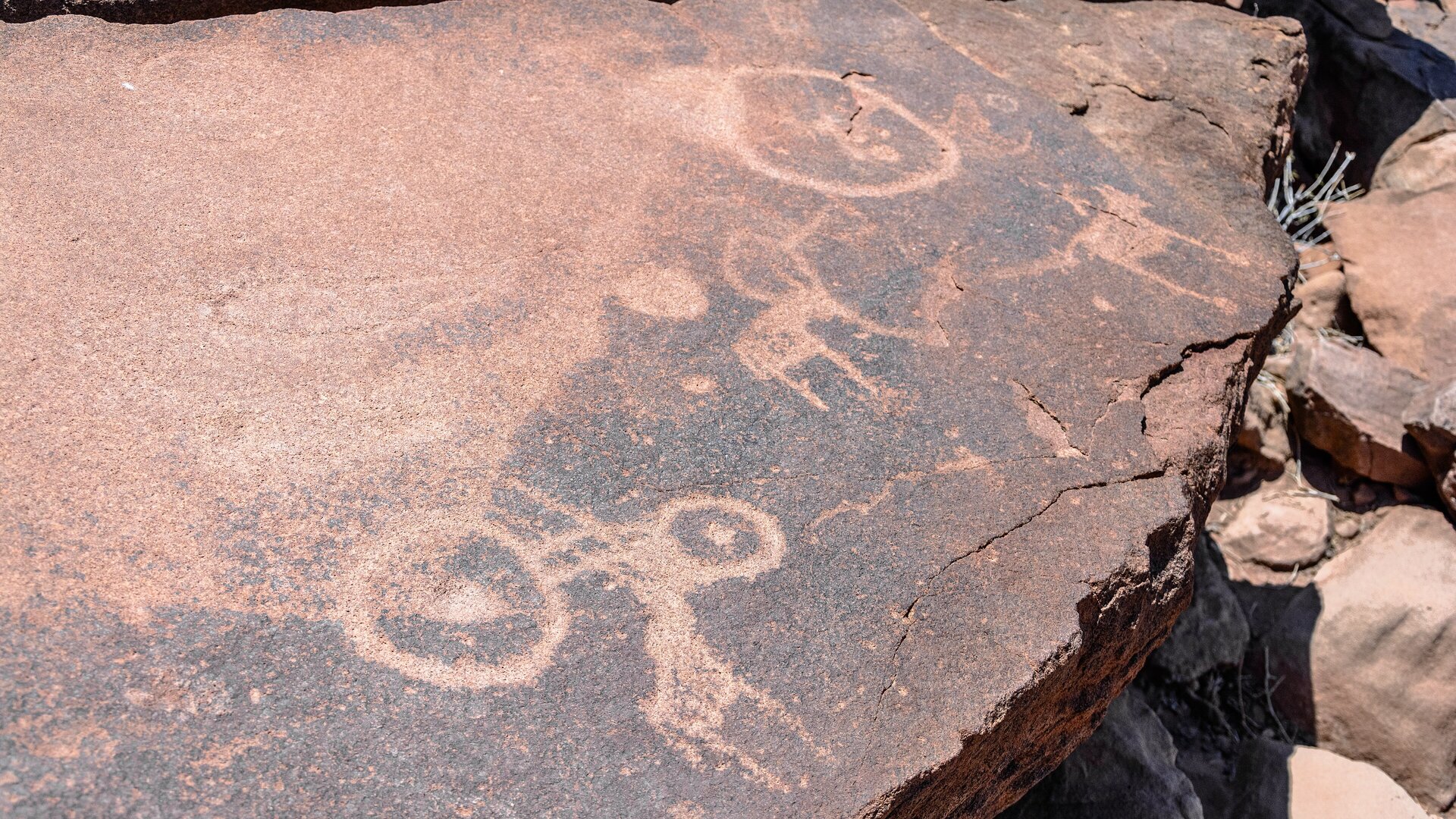 Damaraland safari landscape