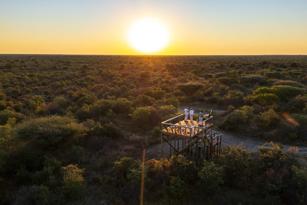 Dinaka Safari Lodge Review 2027: Desert Hides and Black-Maned Lions on the Edge of the Central Kalahari