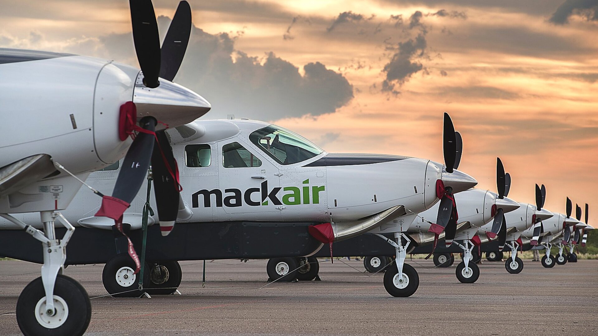 A line of safari bush planes on an African airfield at golden hour — the easiest safaris to fly to