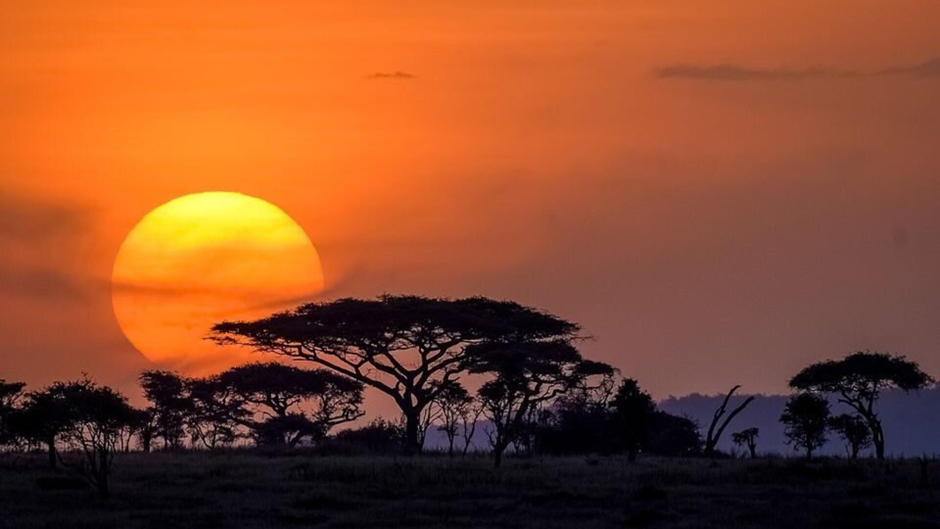 The sun setting over the Serengeti plains on an East Africa safari
