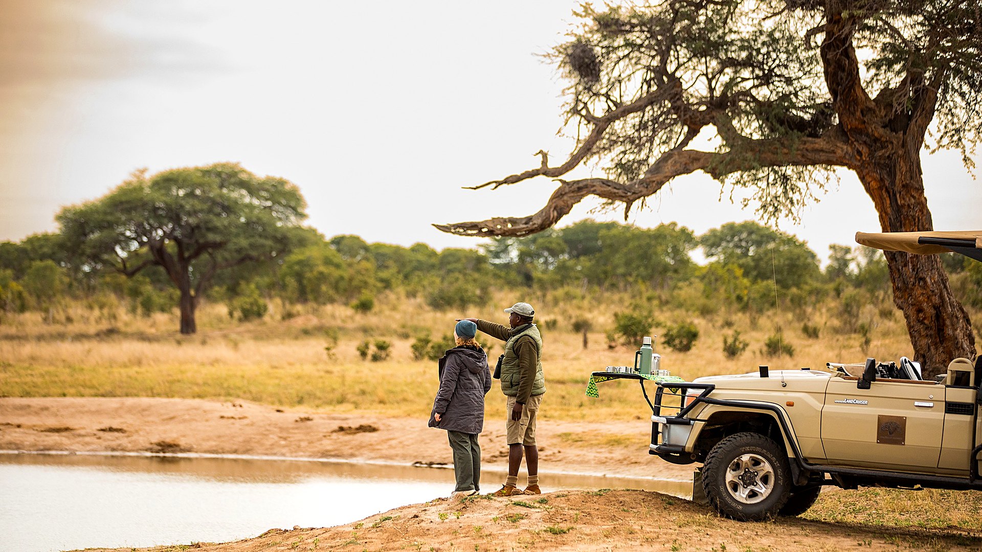 A guide and guests on an open safari vehicle watching elephants in Botswana