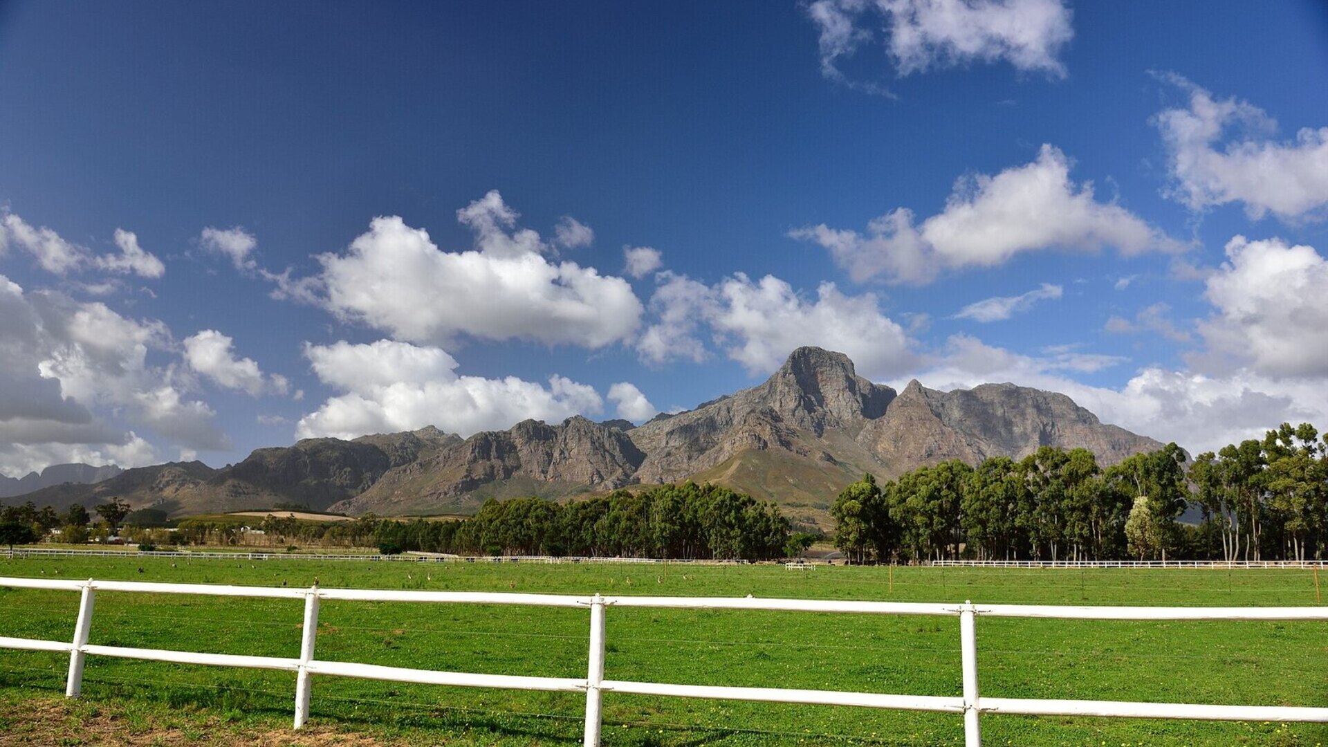 Vineyards in the Franschhoek valley framed by steep mountains in the Cape Winelands