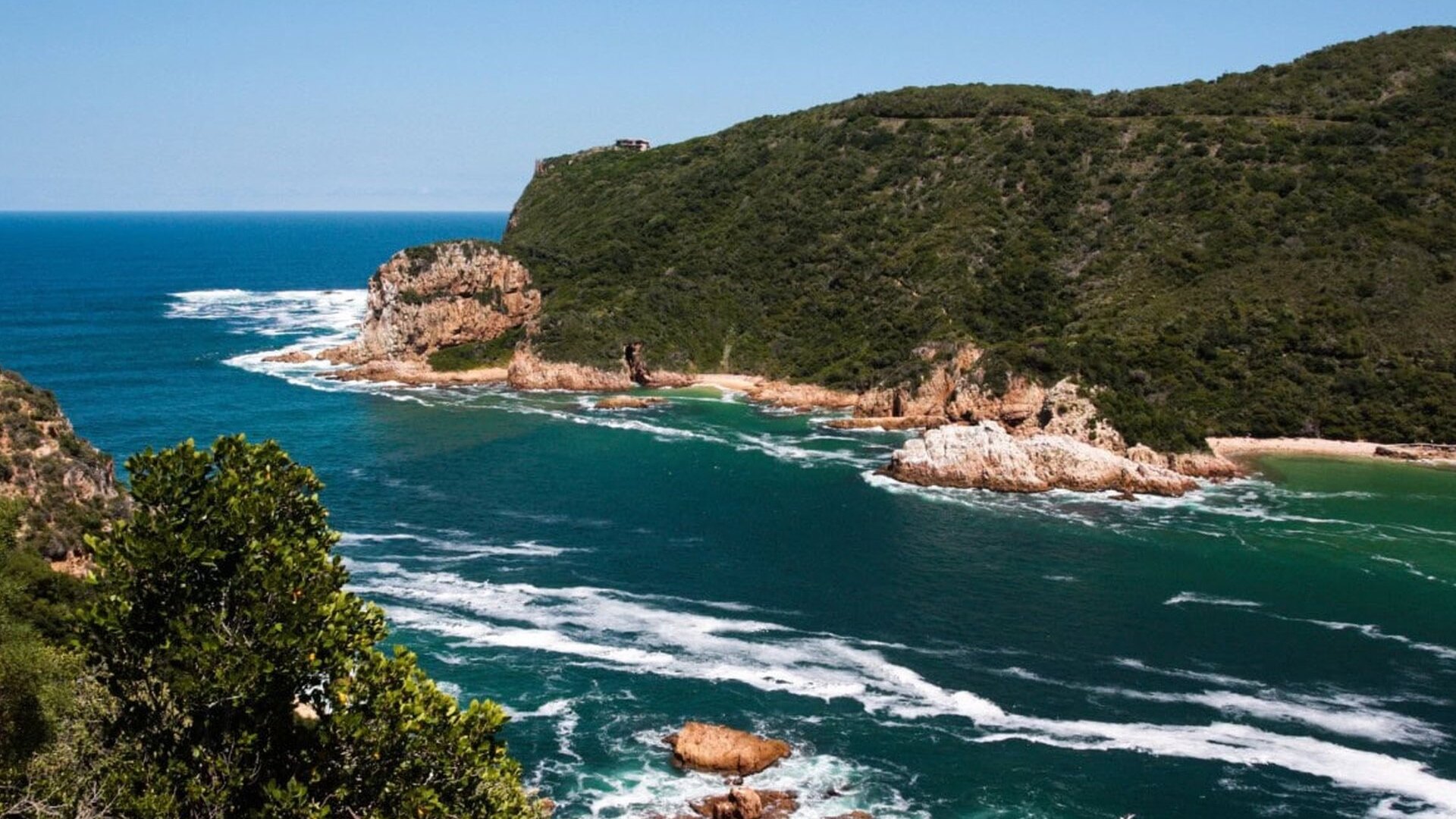 The rugged coastline of the Garden Route with forested cliffs meeting the Indian Ocean
