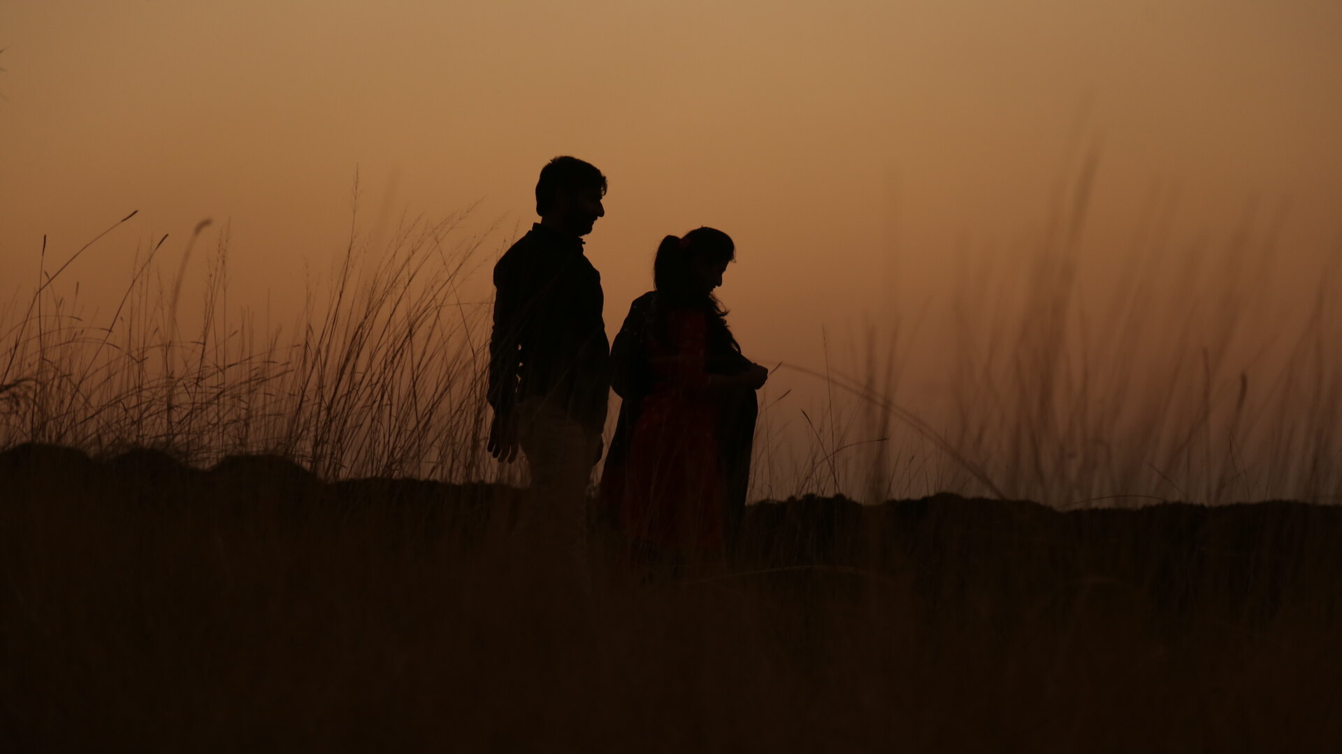 A couple silhouetted against a golden African sunset in the long grass of the savanna on their bush wedding day