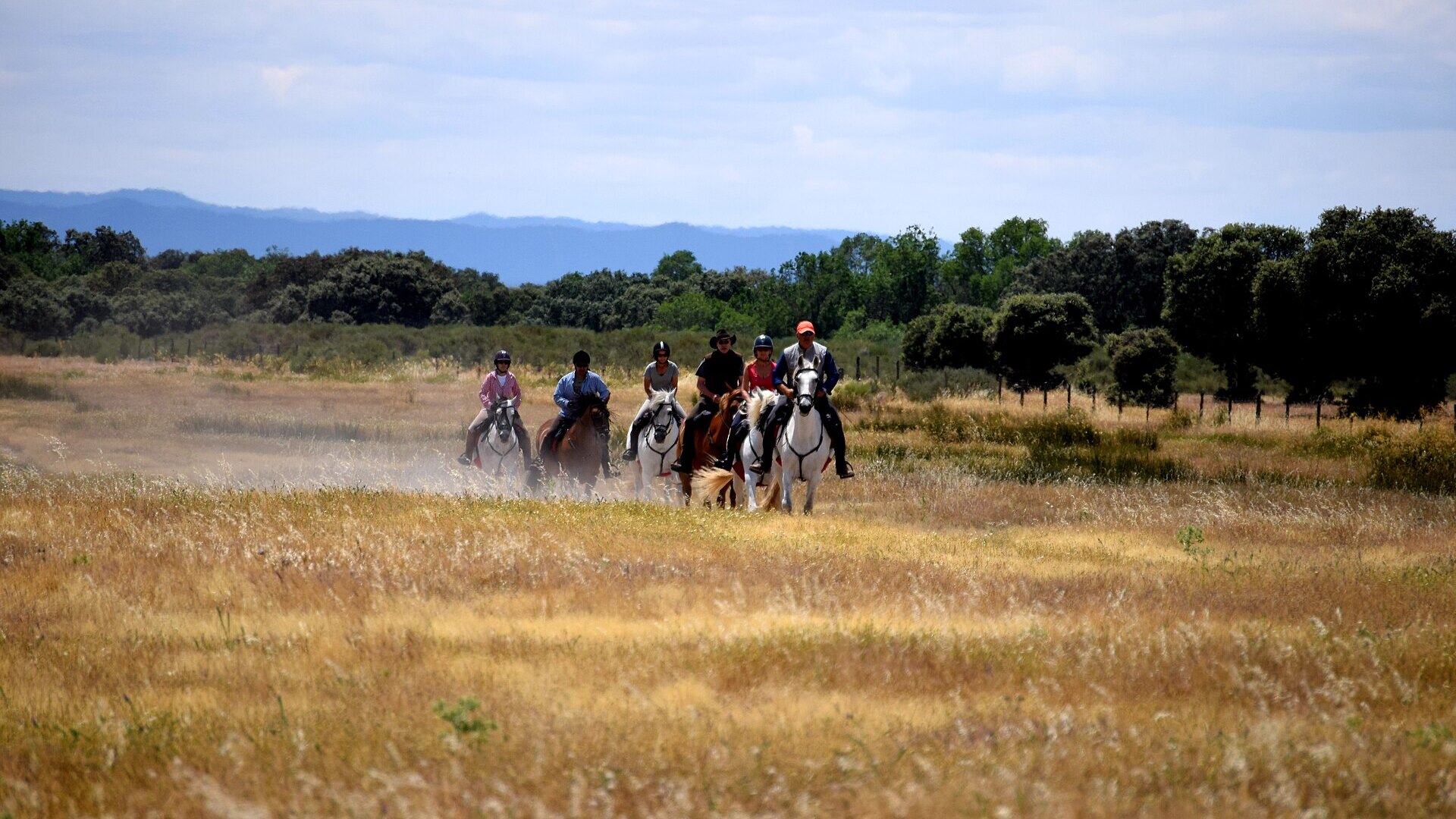 A rider on horseback moving across an African floodplain among wildlife at golden hour
