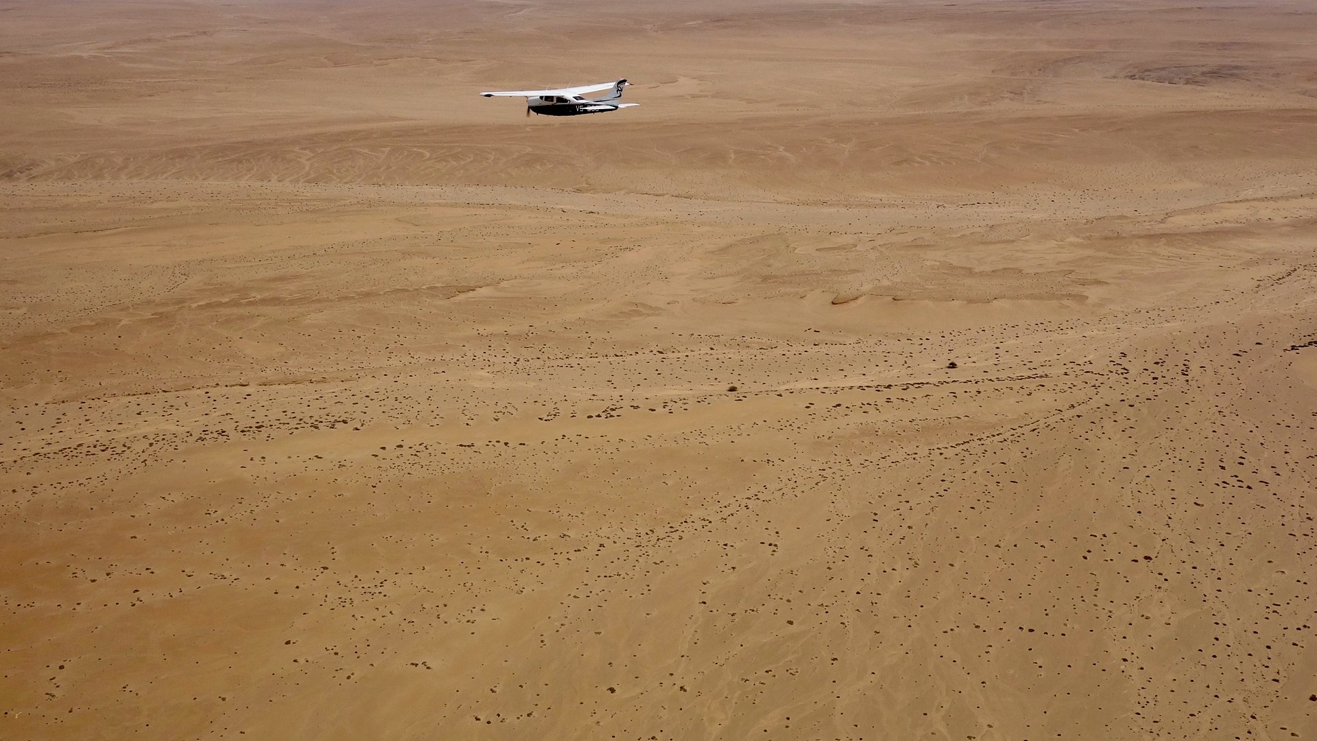 Aerial view of the red dunes and pale plains of the Namib sand sea near Sossusvlei at dawn