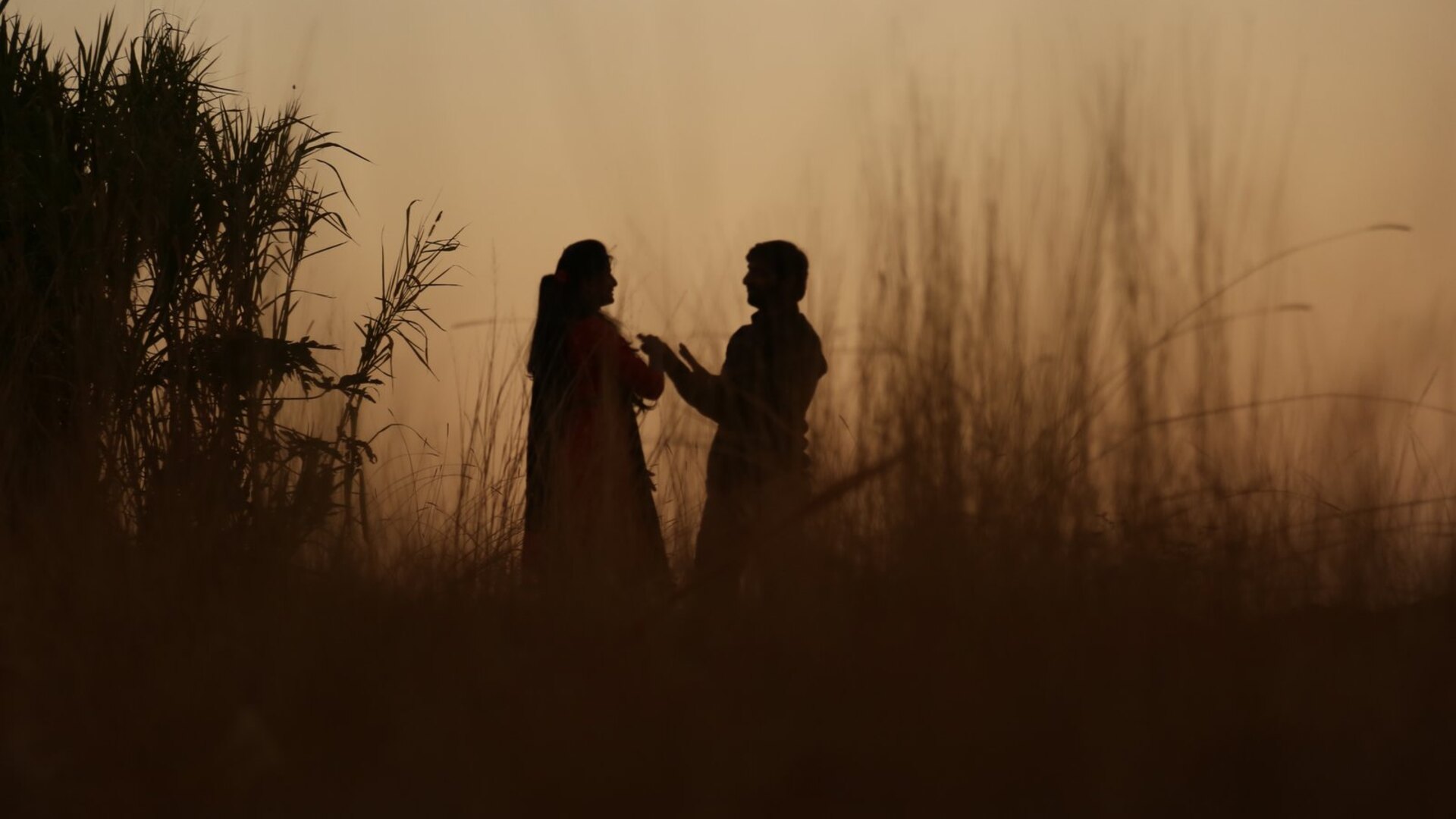 A newly married couple watching an African sunset together on safari, deciding which honeymoon safari is right for them