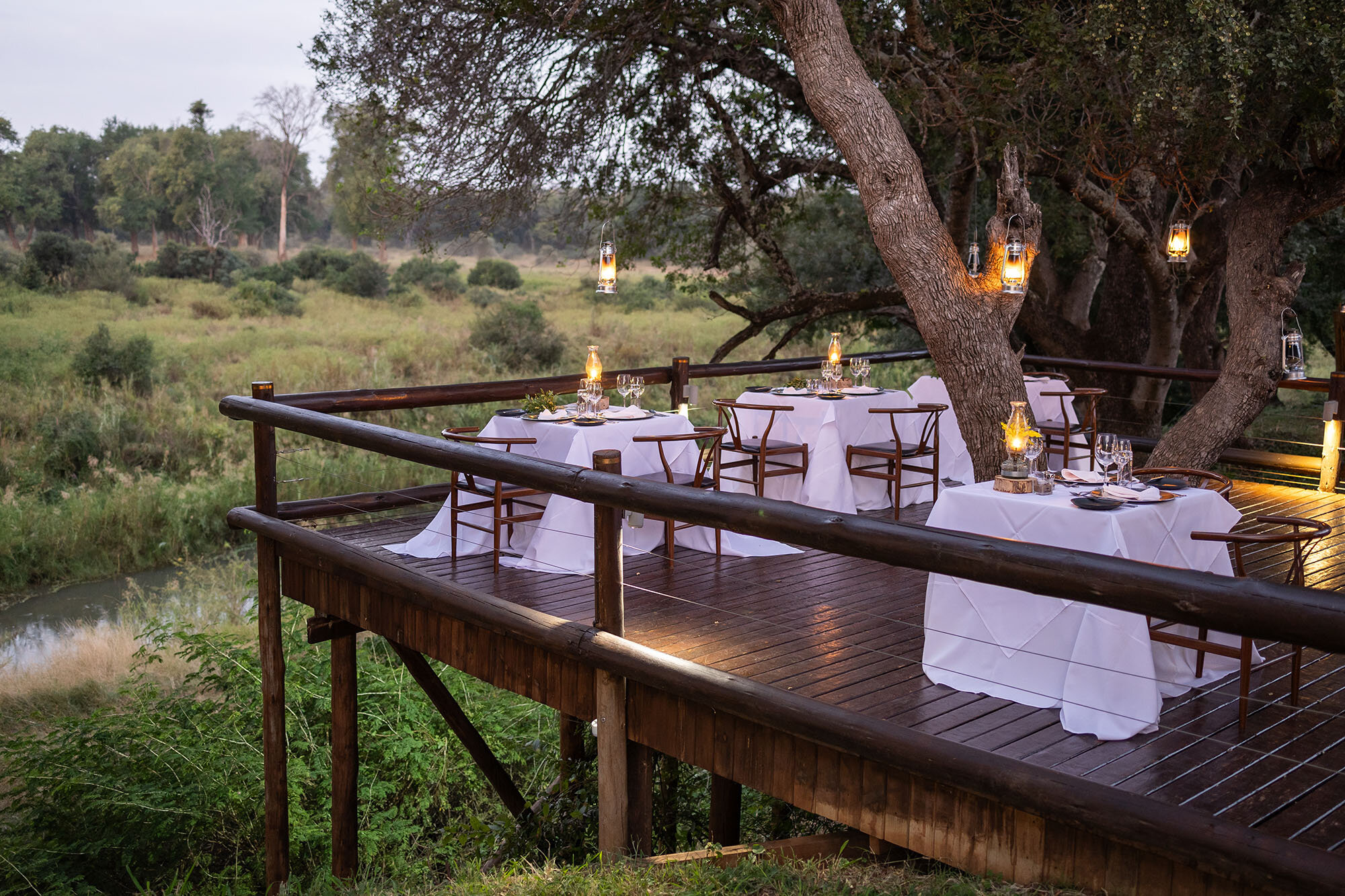 Karongwe Private Game Reserve Review: Leopard Country Between Six Rivers in Limpopo