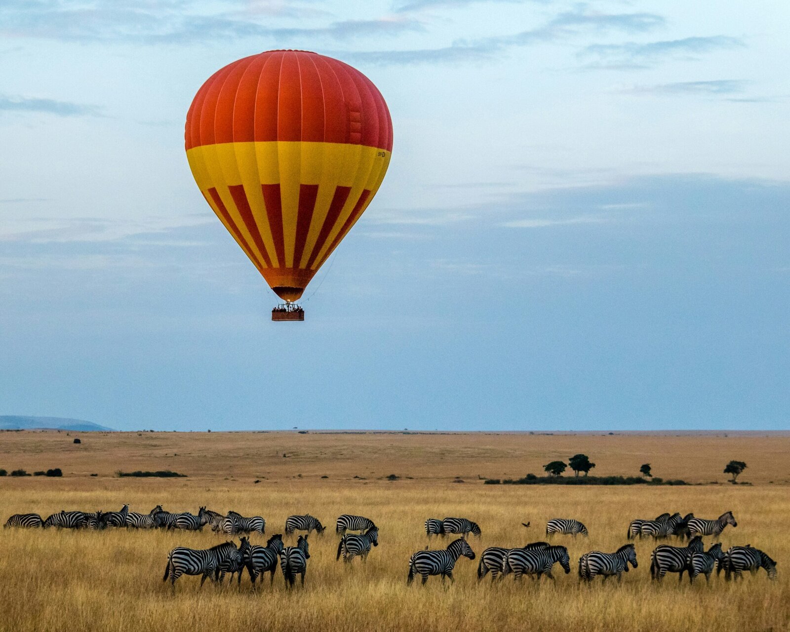 A hot-air balloon drifts over a zebra herd on the golden Masai Mara plains in Kenya beside the water wilderness of Botswana's Okavango Delta