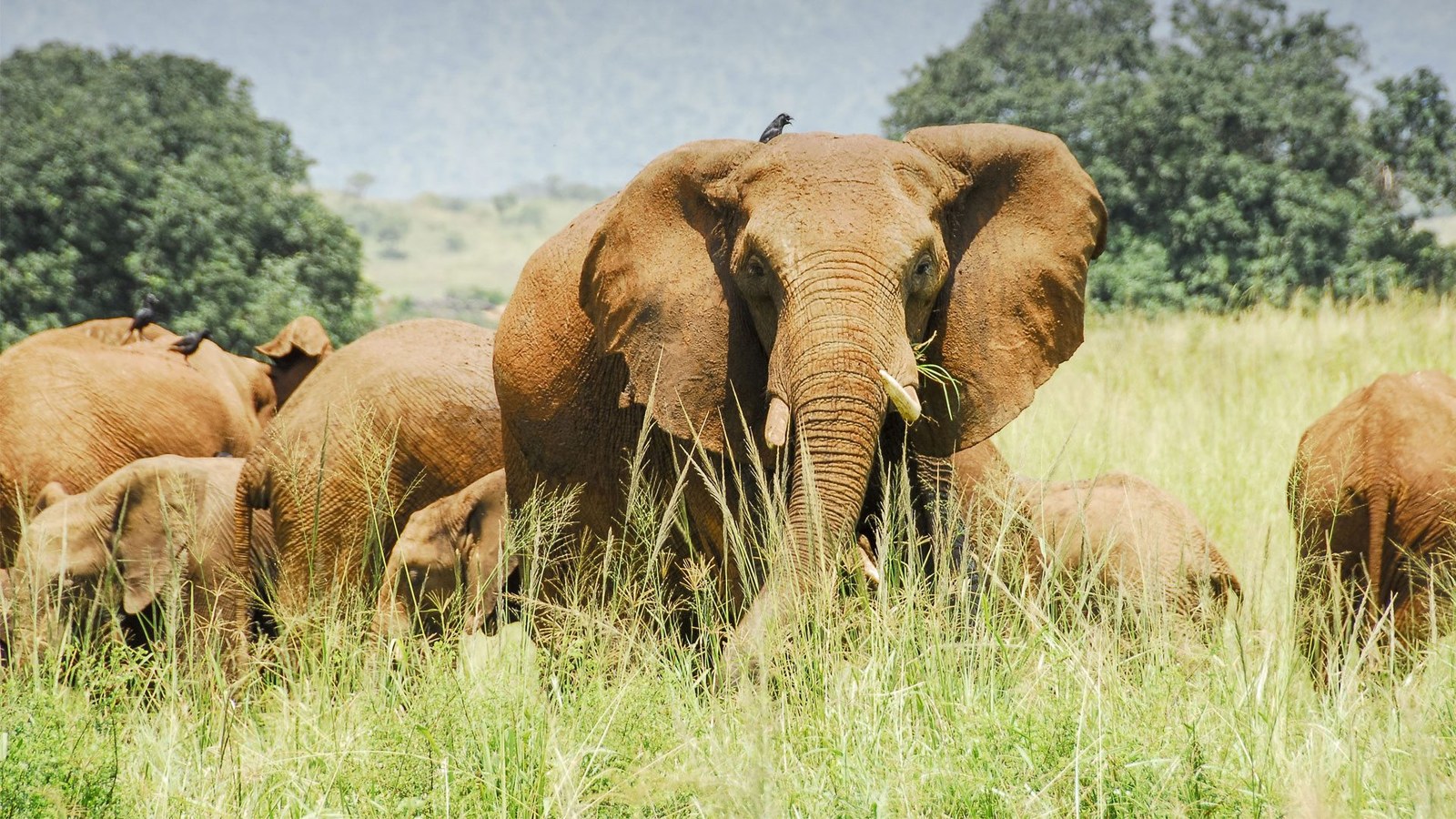 Kidepo Valley National Park safari landscape