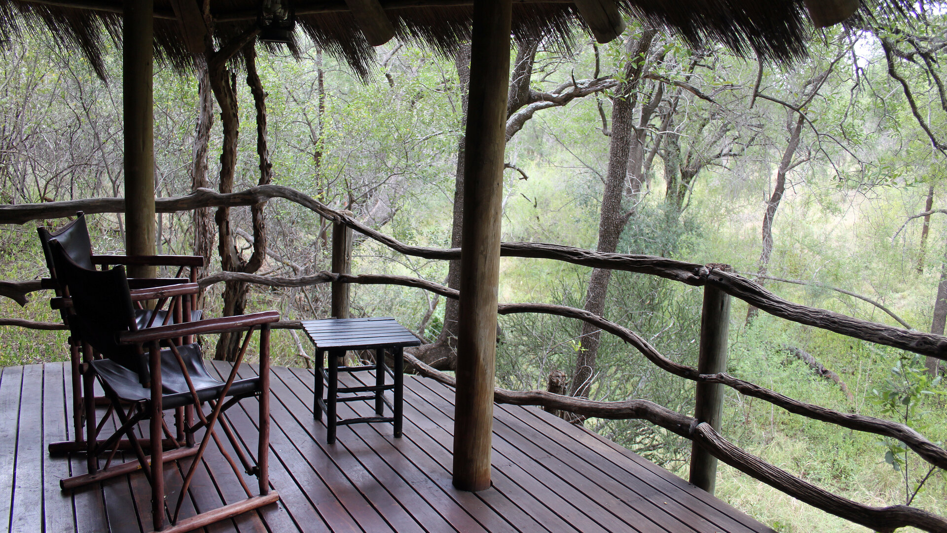 A luxury safari lodge deck overlooking the bush in a private Greater Kruger reserve