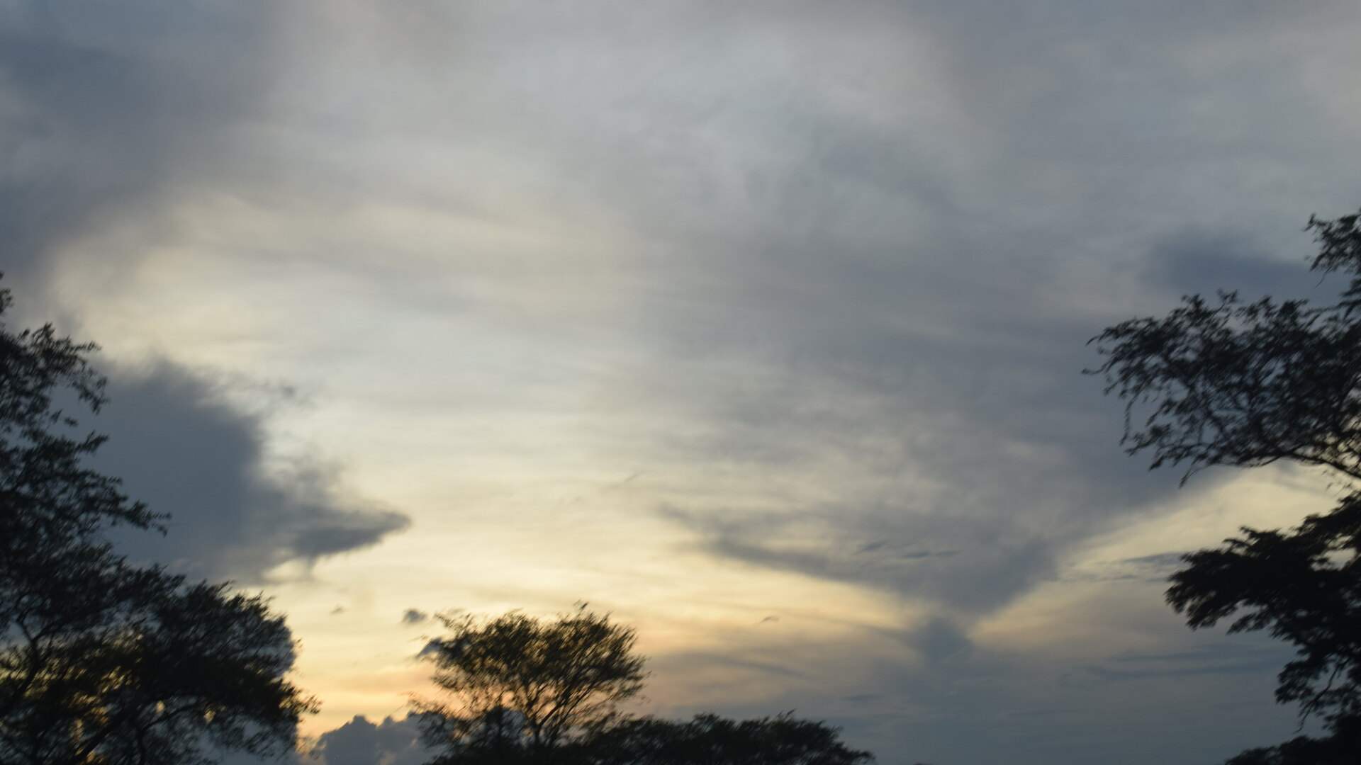 The Kruger bushveld glowing under a low golden sun as evening approaches