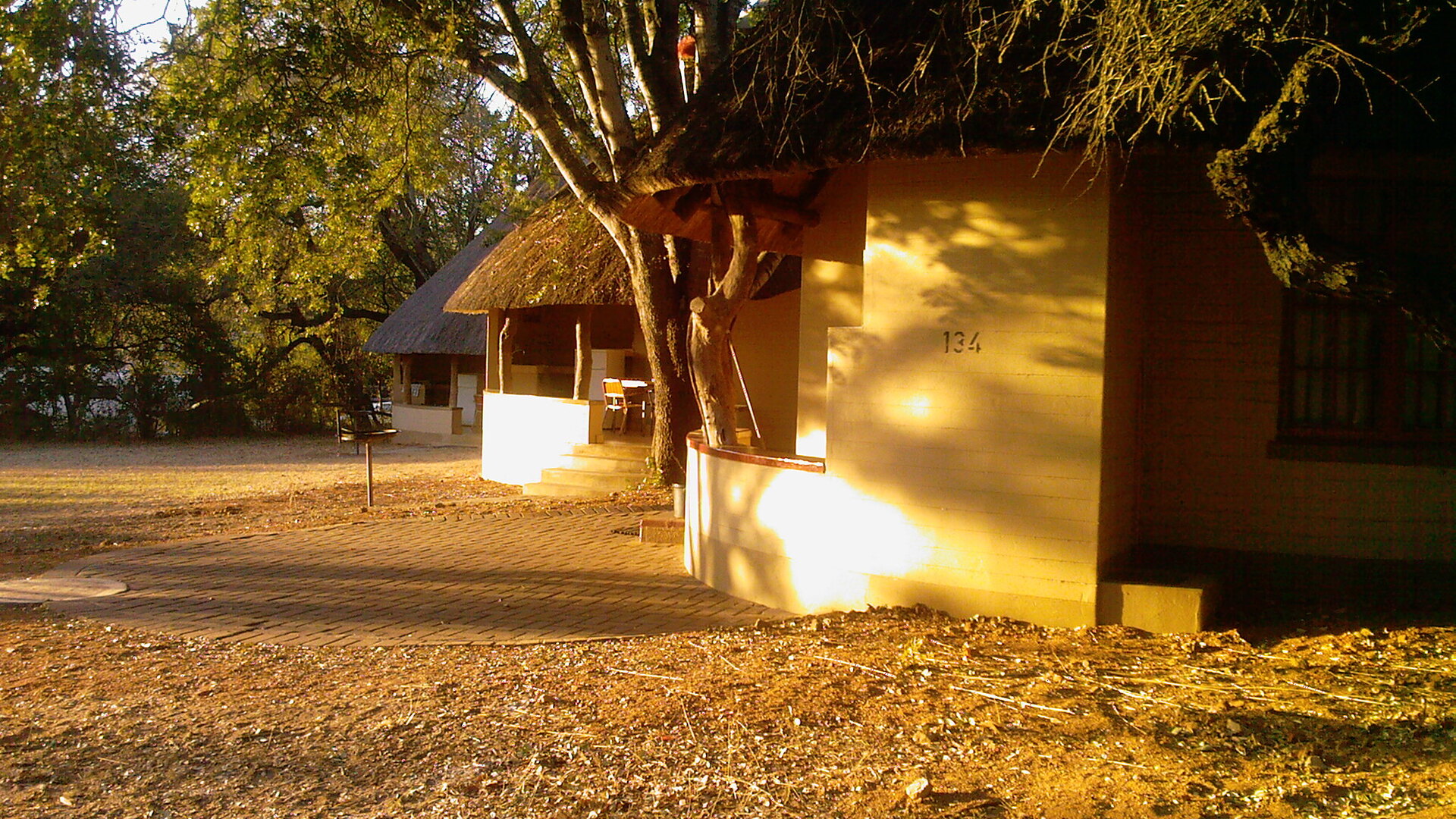 A rest camp building among trees at golden hour in the Kruger National Park
